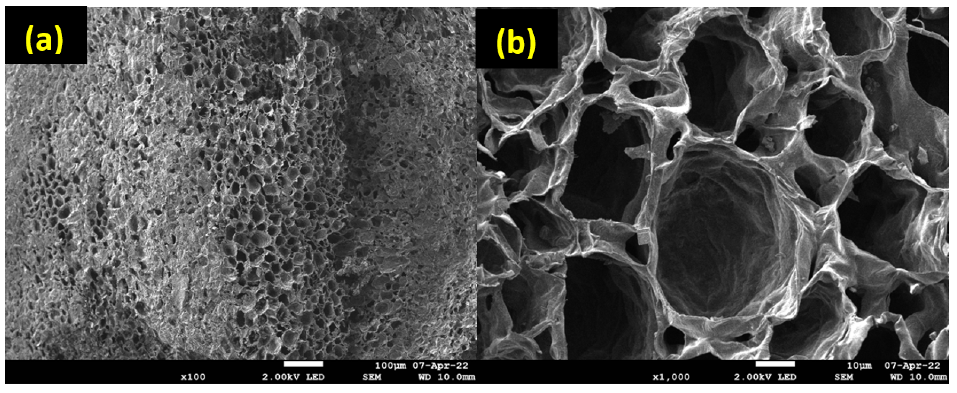 Molecules 28 05381 g005 Molecules 28 05381 g005