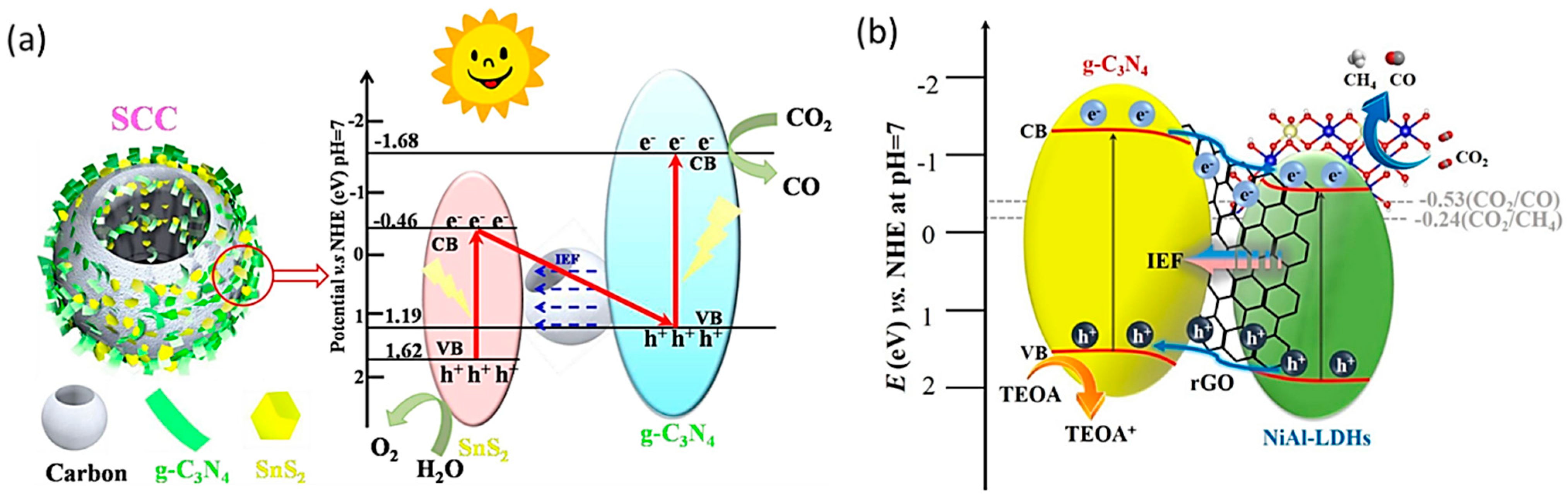 Molecules 28 05383 g005 Molecules 28 05383 g005