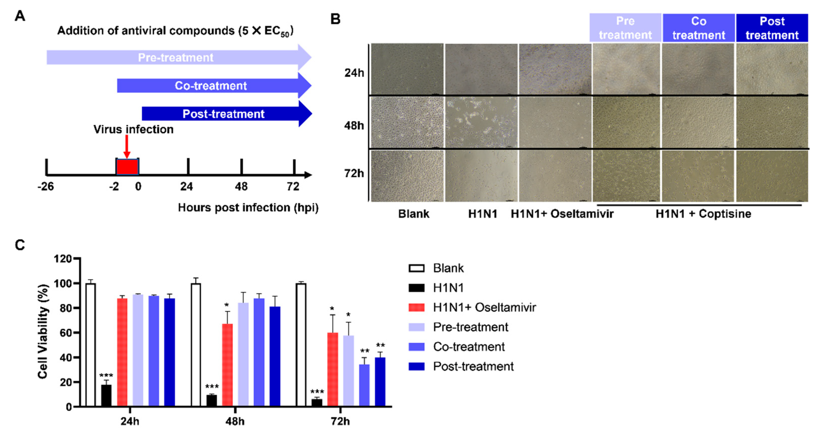 Molecules 28 05398 g002 Molecules 28 05398 g002