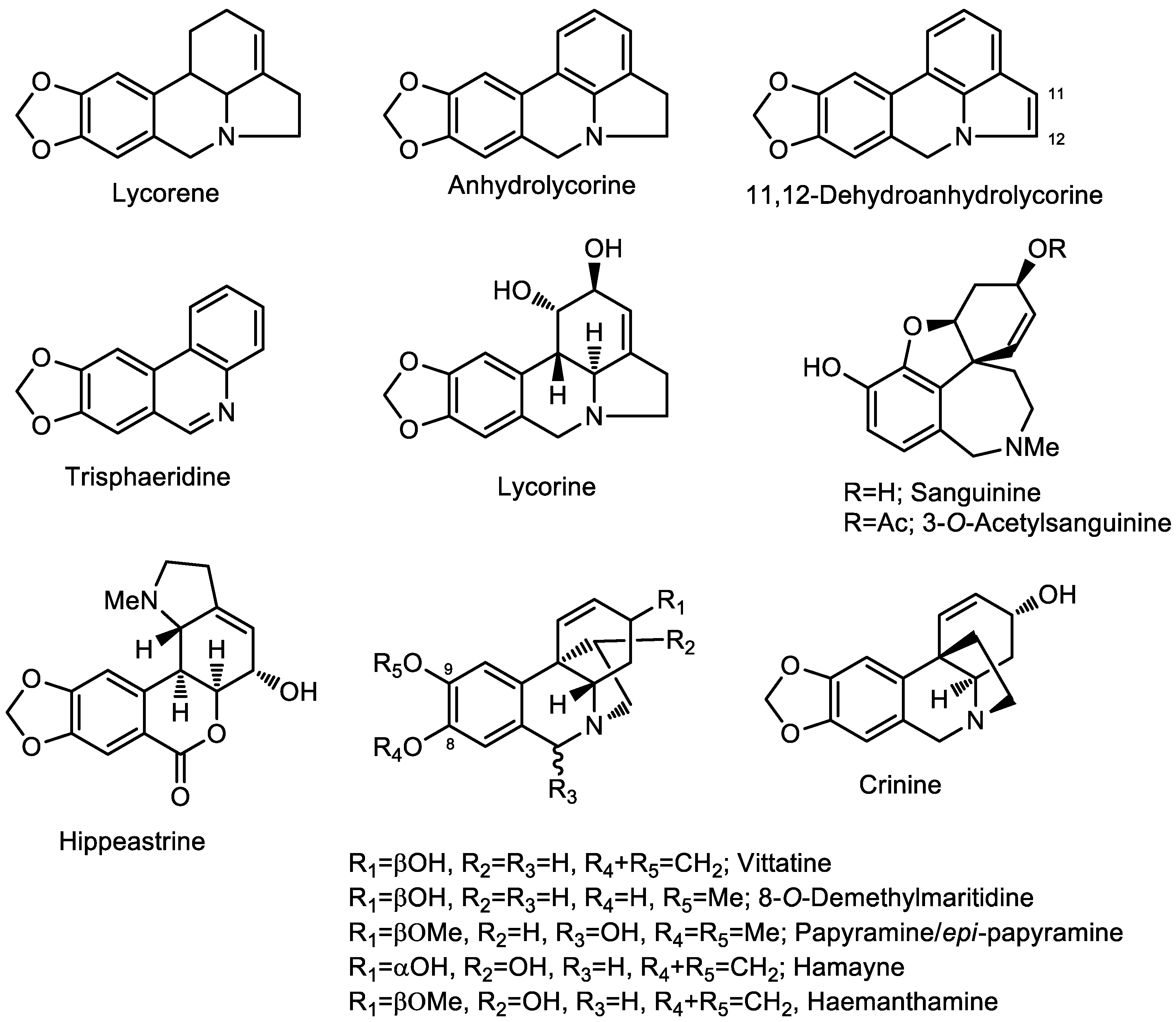 Molecules 28 05408 g002