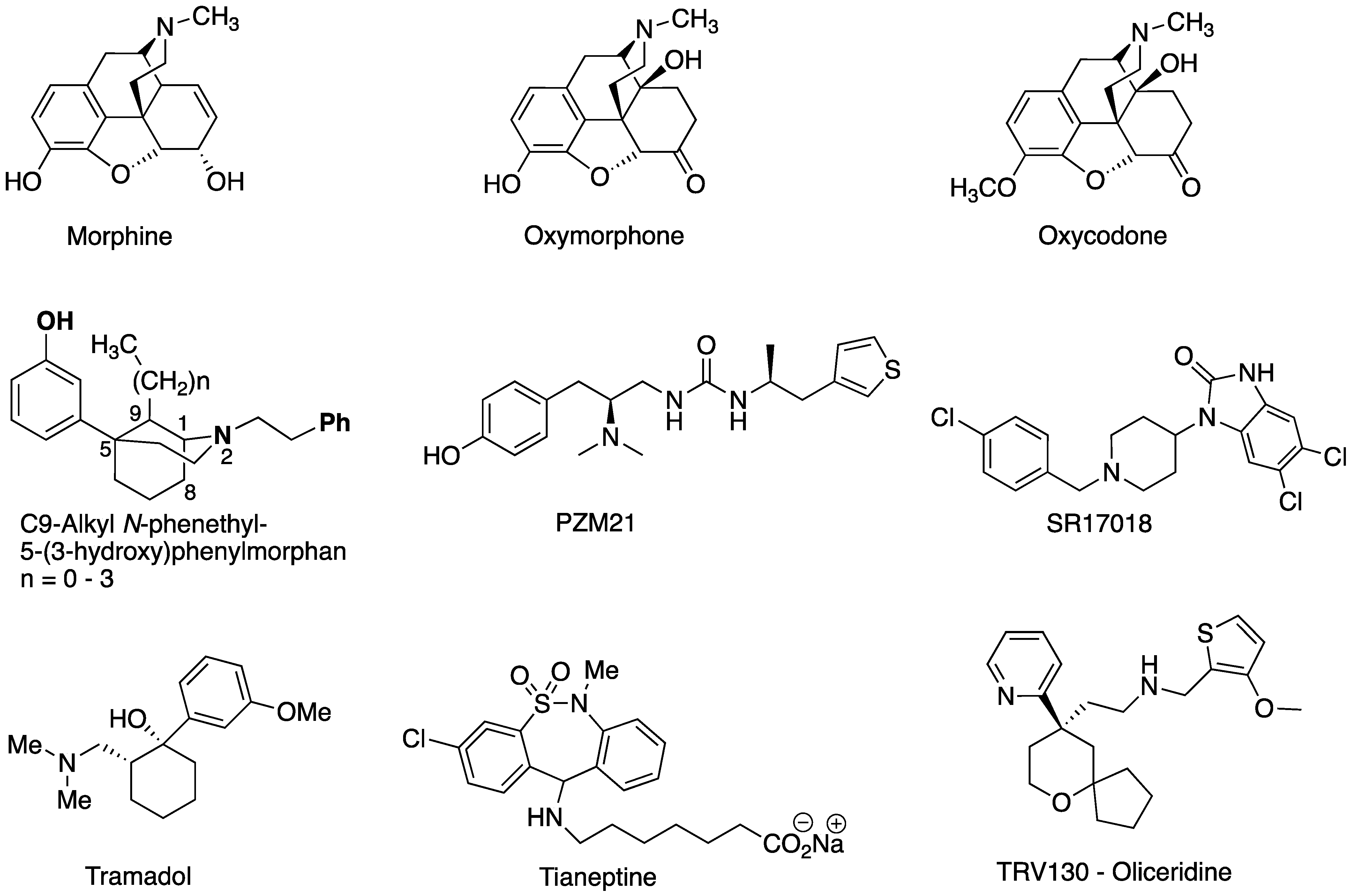 Molecules 28 05411 g001