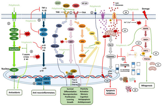 Moléculas 28 05415 g003 550