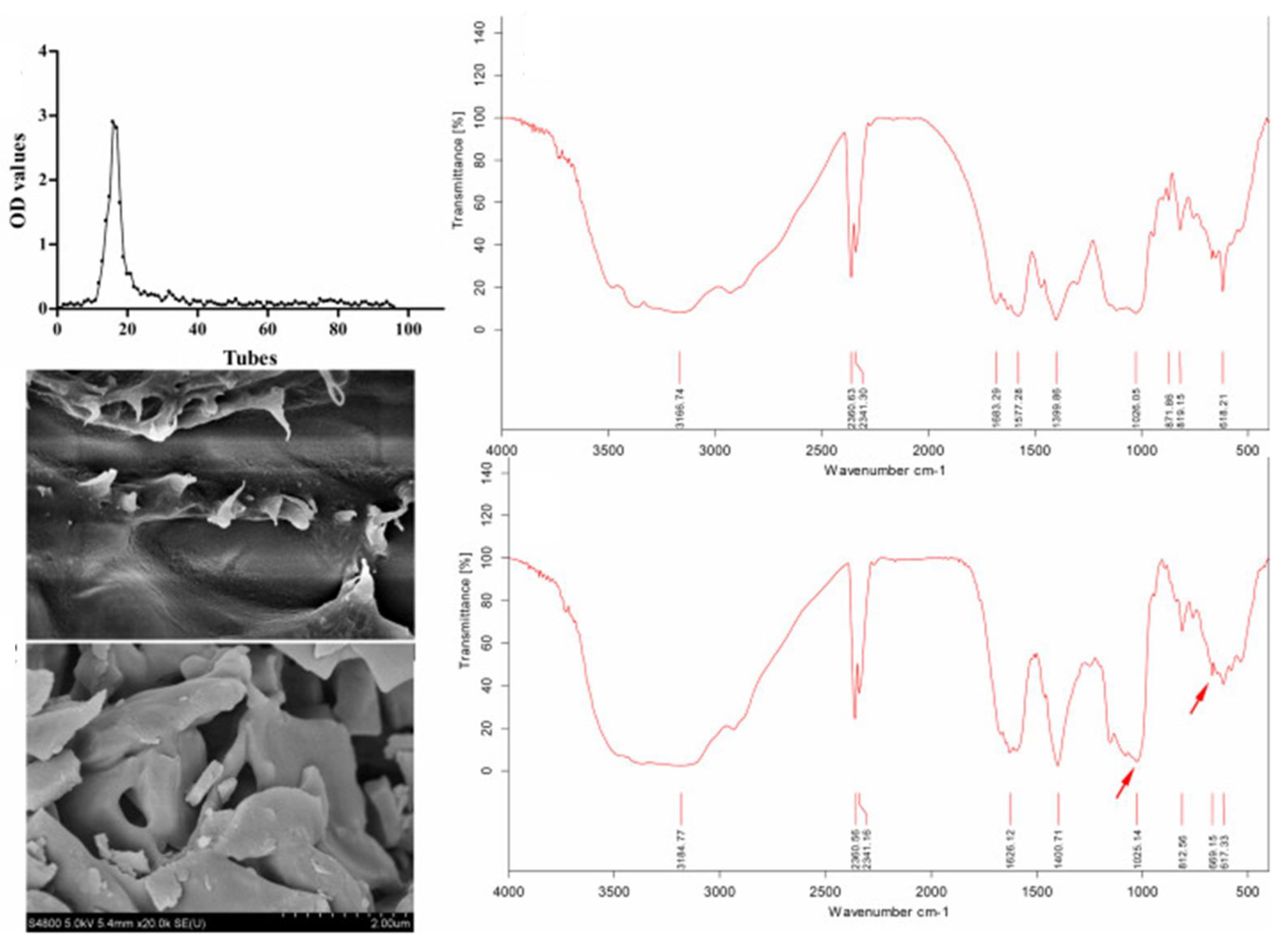 Molecules 28 05416 g010 Molecules 28 05416 g010