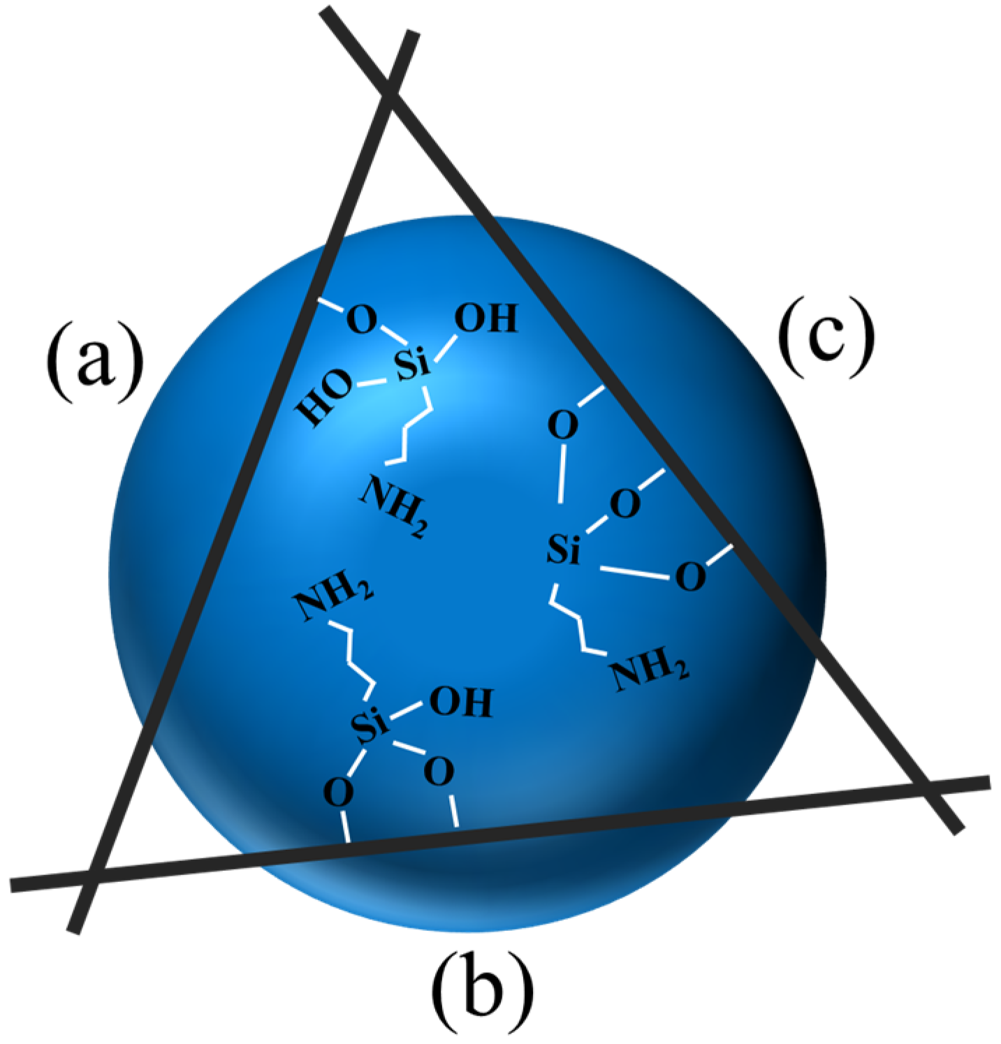 Molecules 28 05417 g002