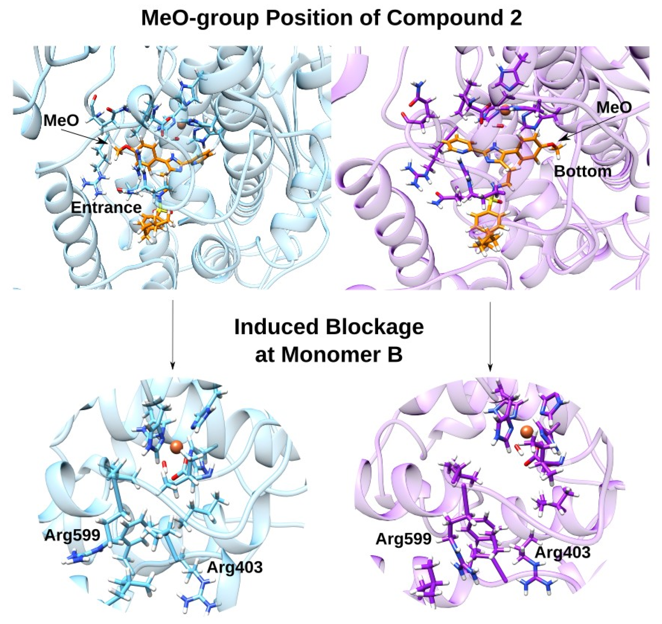 Molecules 28 05418 g007