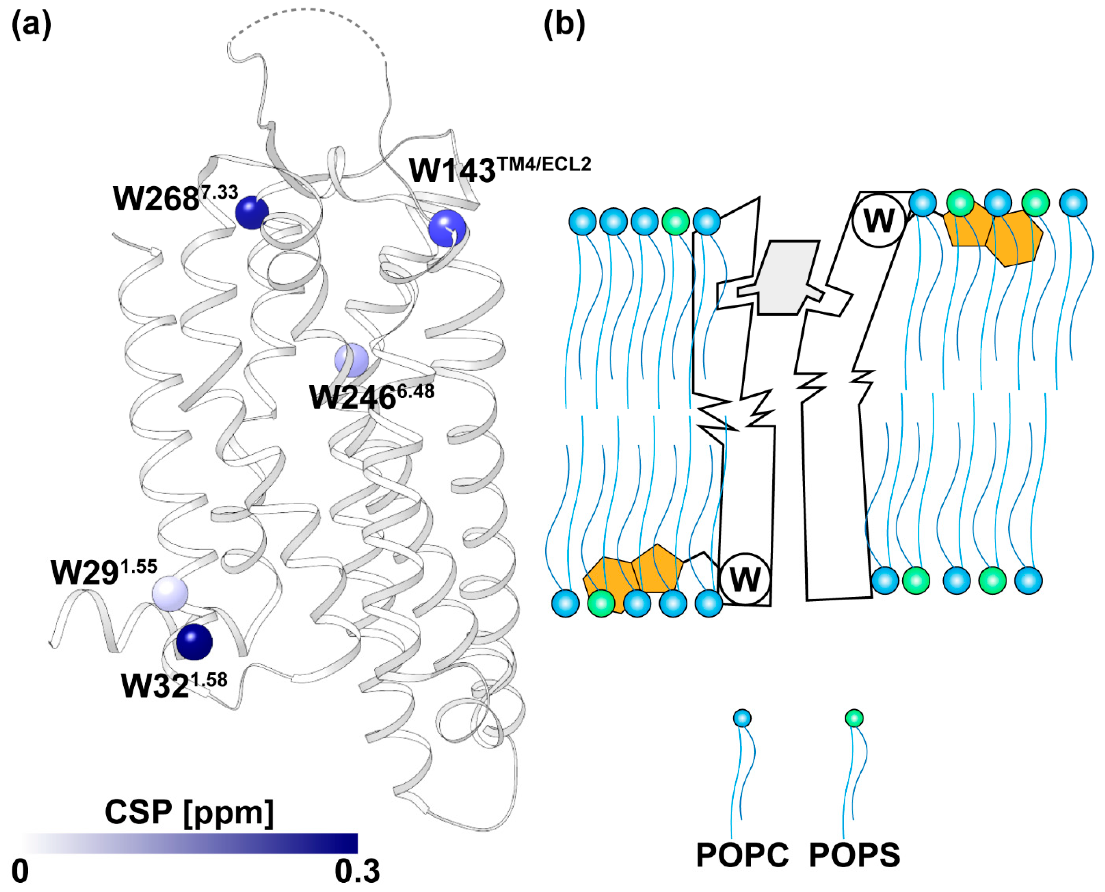 Molecules 28 05419 g005
