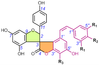 Molecules 28 05420 i011 Molecules 28 05420 i011