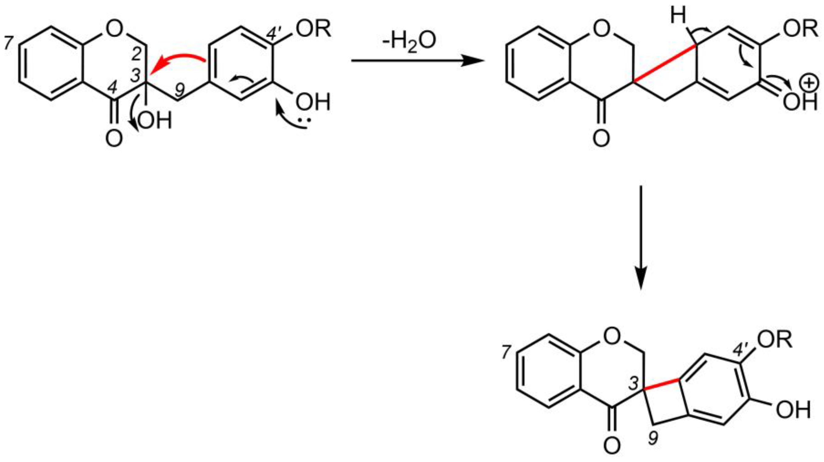 Molecules 28 05420 sch005 Molecules 28 05420 sch005