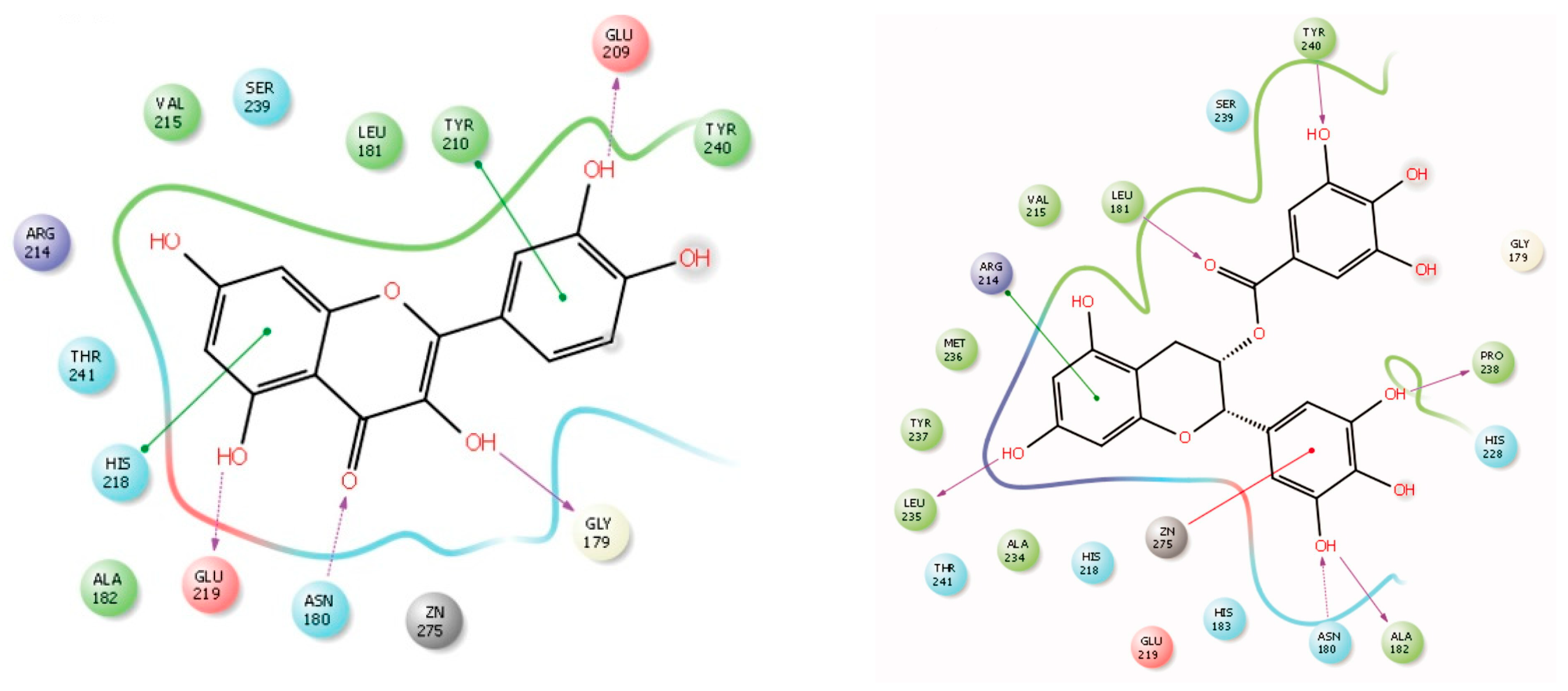 Molecules 28 05426 g003 Molecules 28 05426 g003