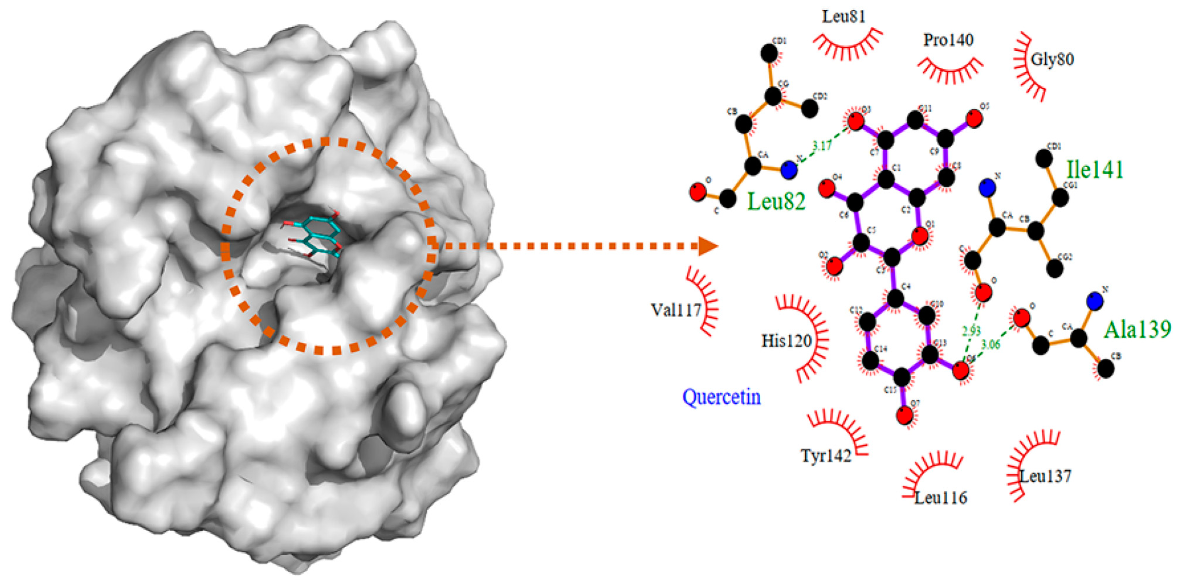 Molecules 28 05426 g008 Molecules 28 05426 g008