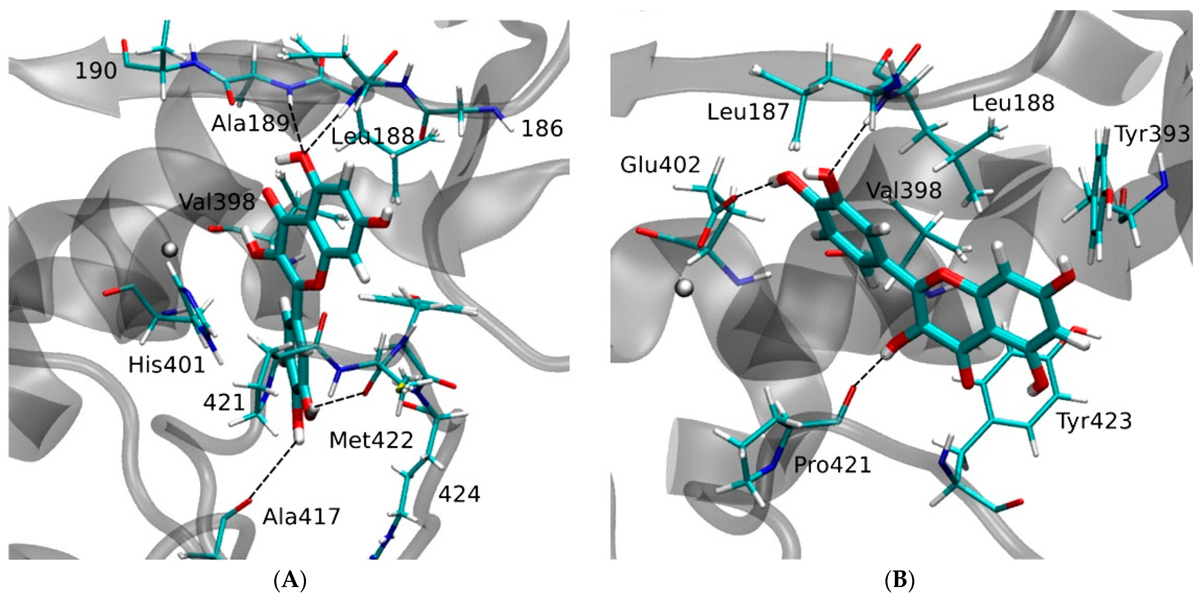 Molecules 28 05426 g017 Molecules 28 05426 g017