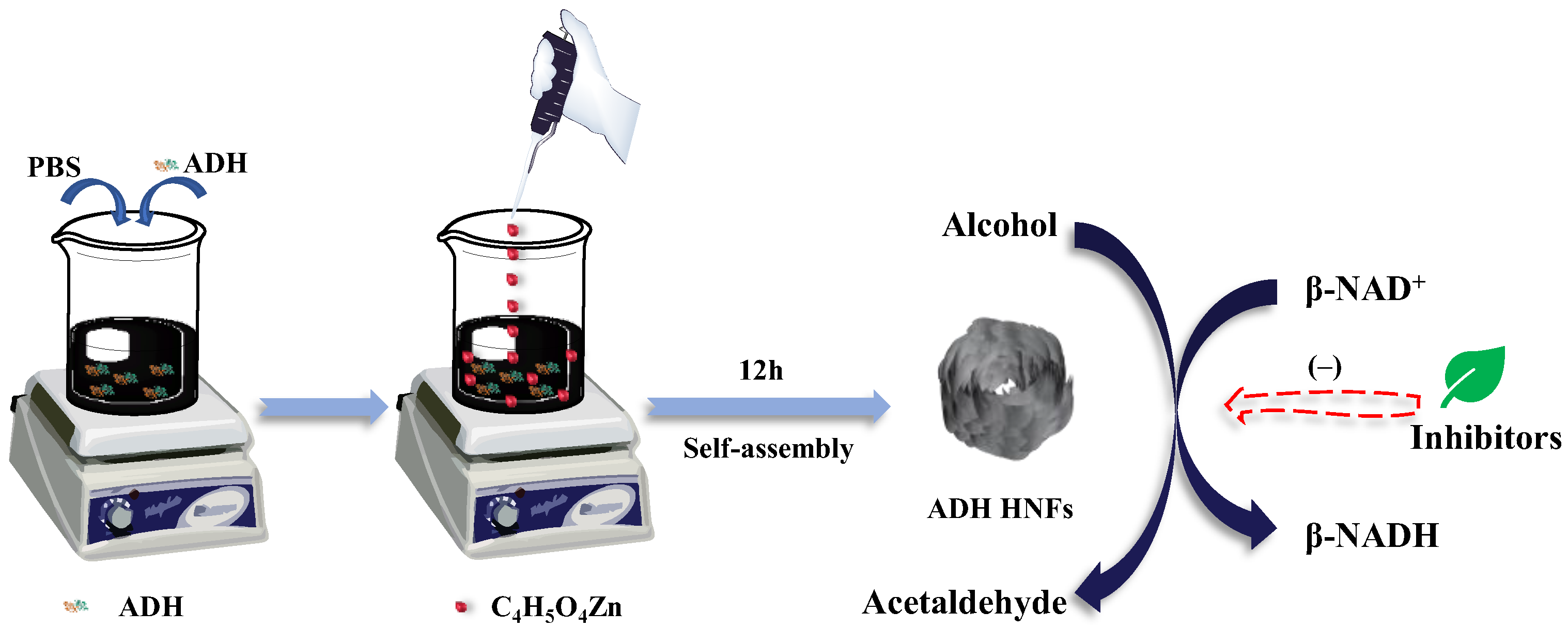 Molecules 28 05429 g001 Molecules 28 05429 g001