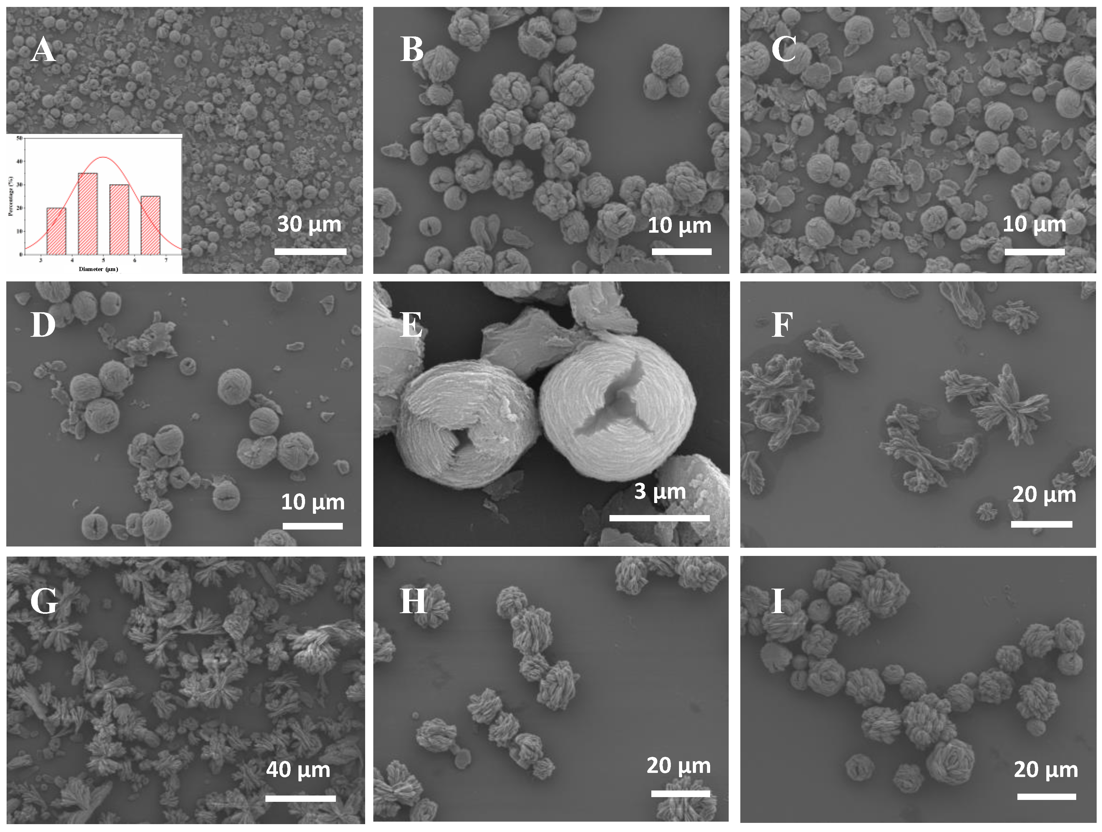 Molecules 28 05429 g004 Molecules 28 05429 g004