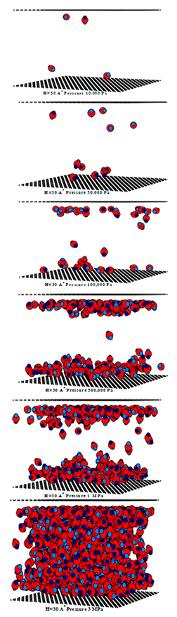 Molecules 28 05433 i003 Molecules 28 05433 i003