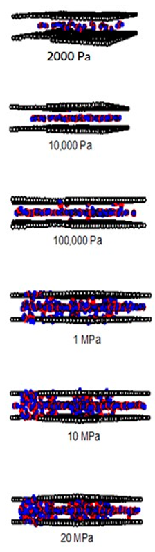 Molecules 28 05433 i004 Molecules 28 05433 i004