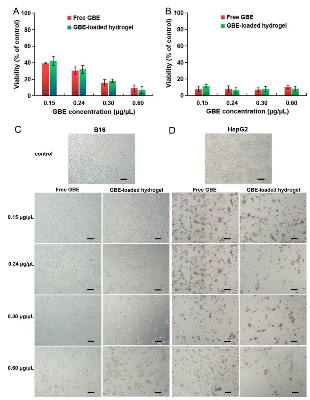 Molecules 28 05447 g007
