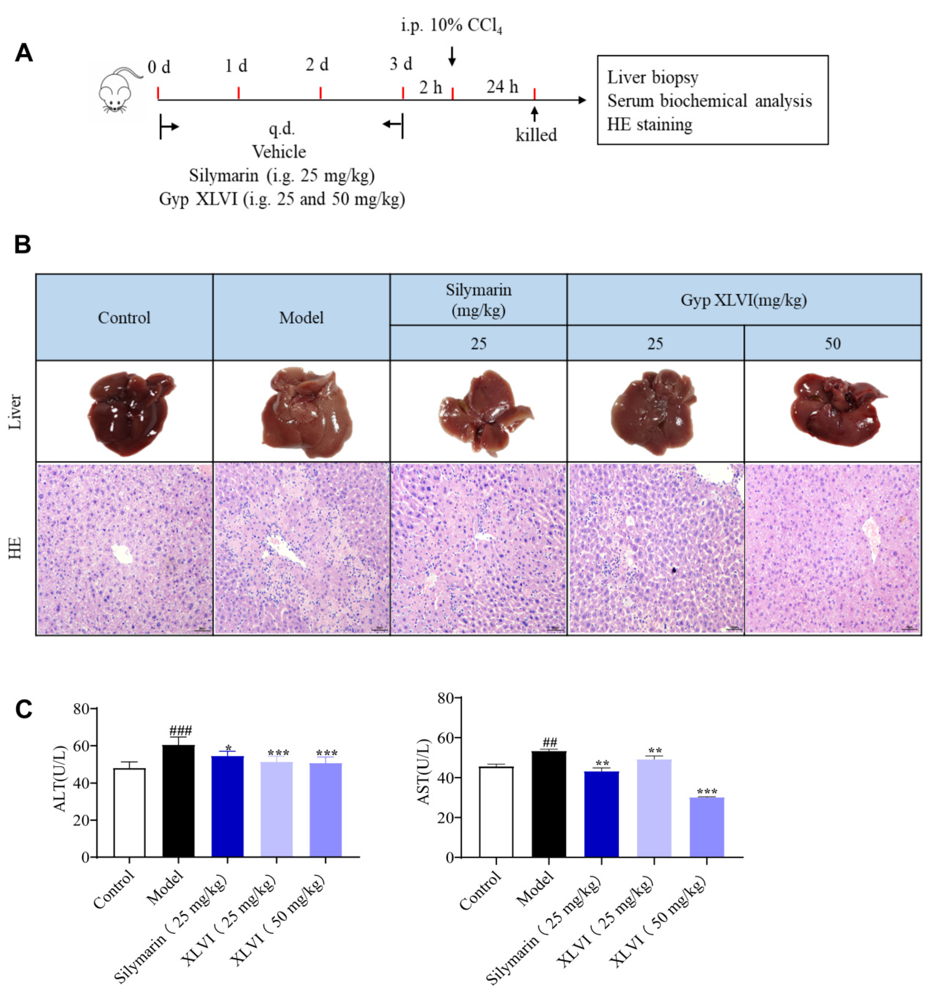 Molecules 28 05448 g001