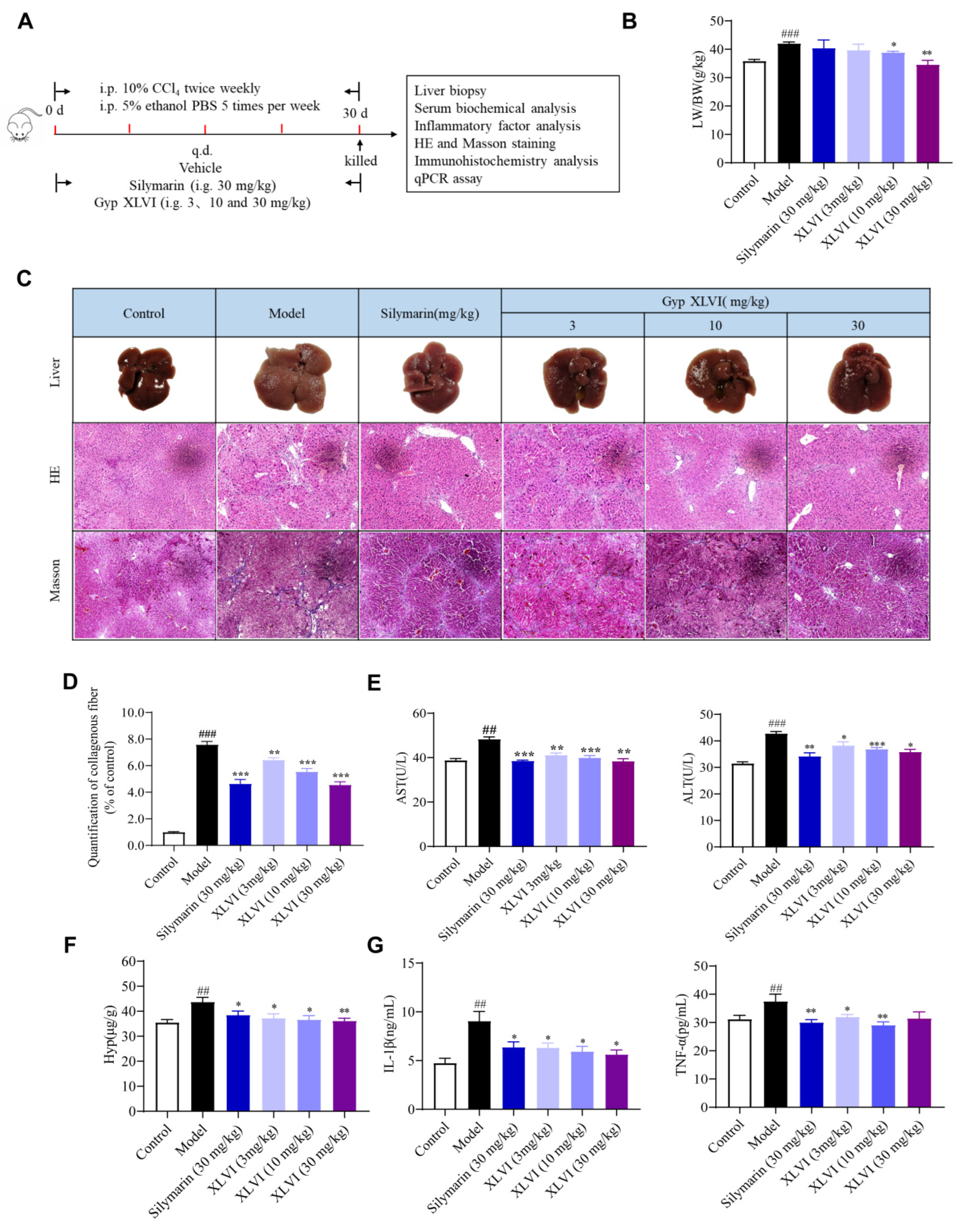 Molecules 28 05448 g002