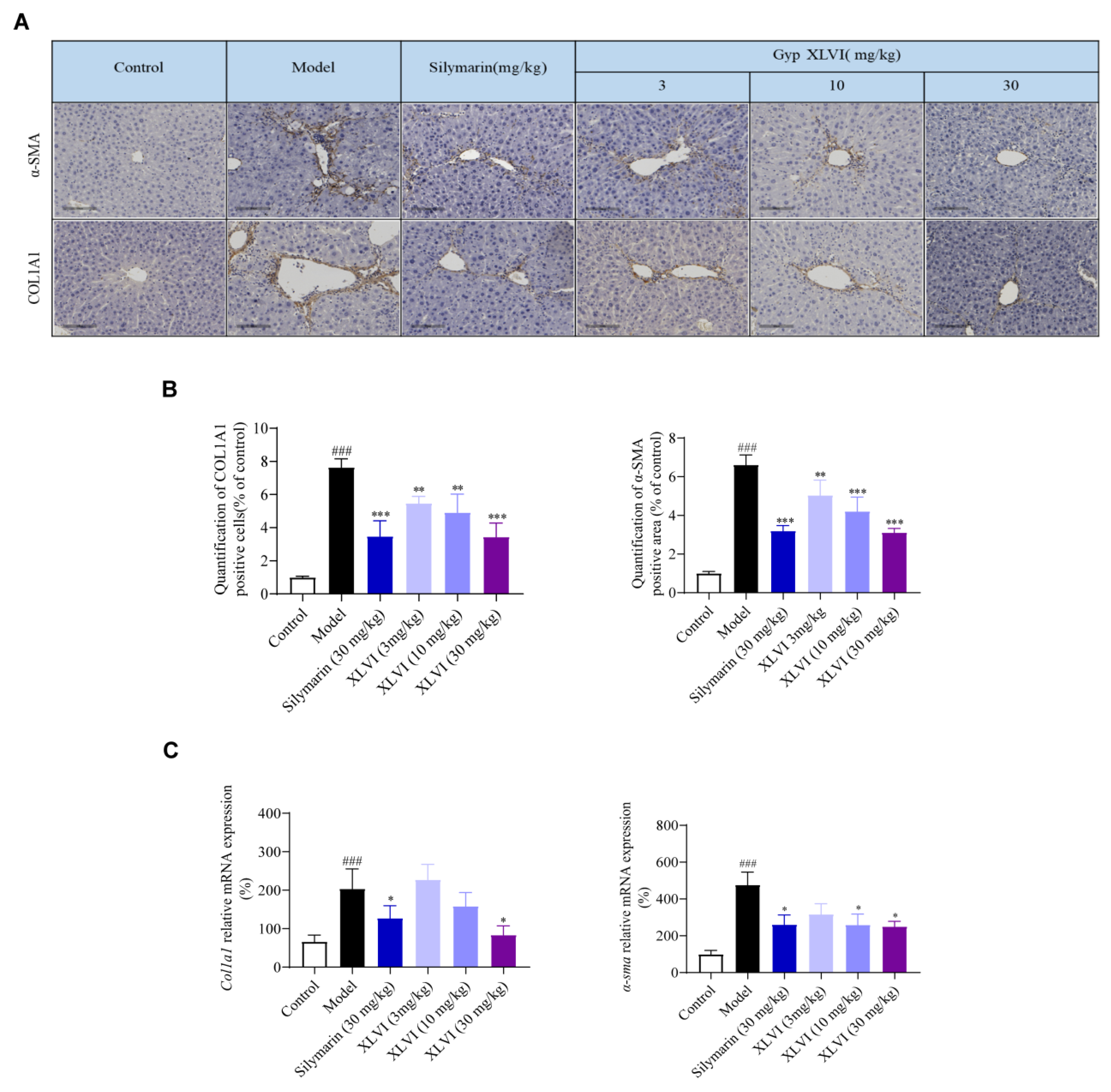 Molecules 28 05448 g003