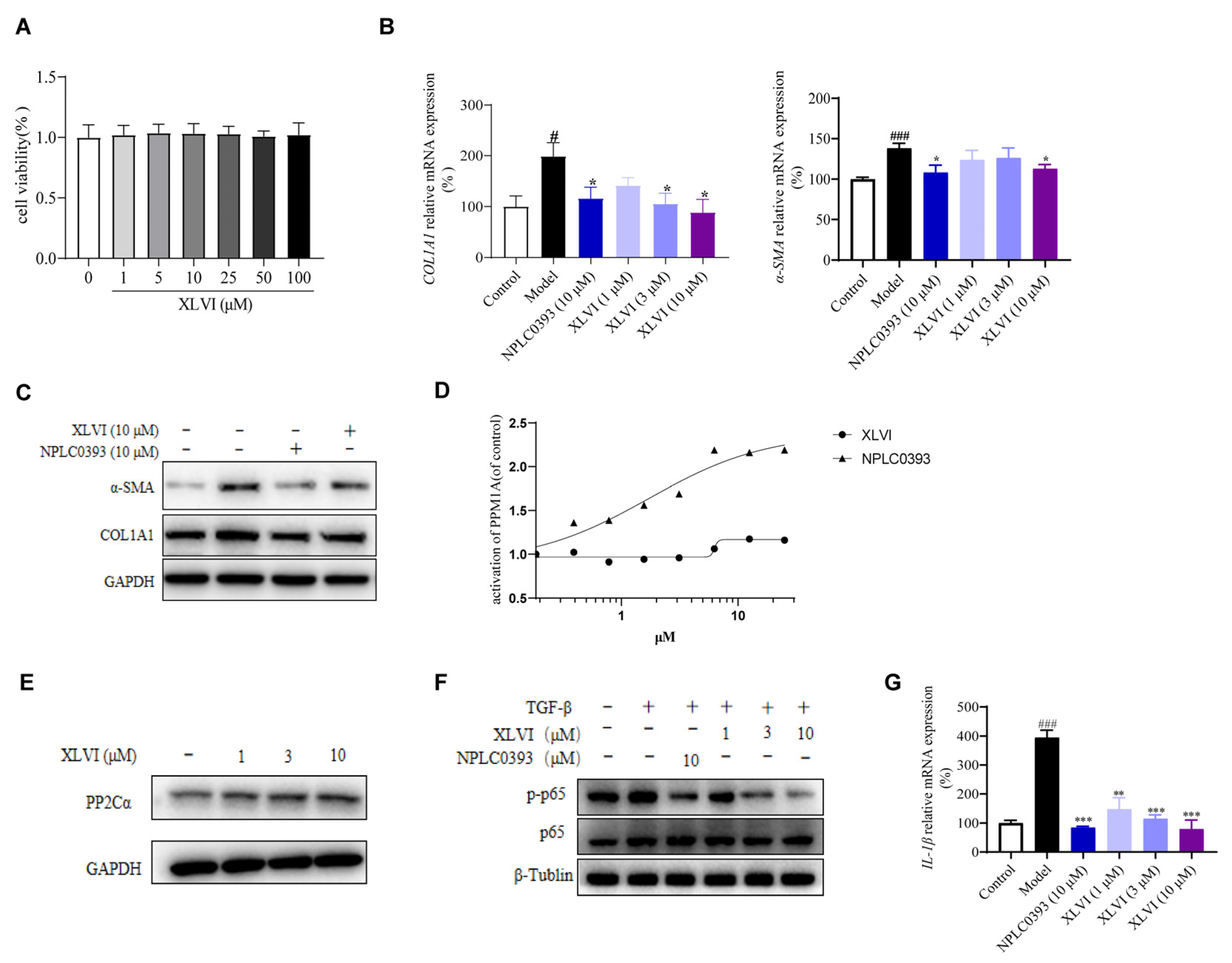 Molecules 28 05448 g004