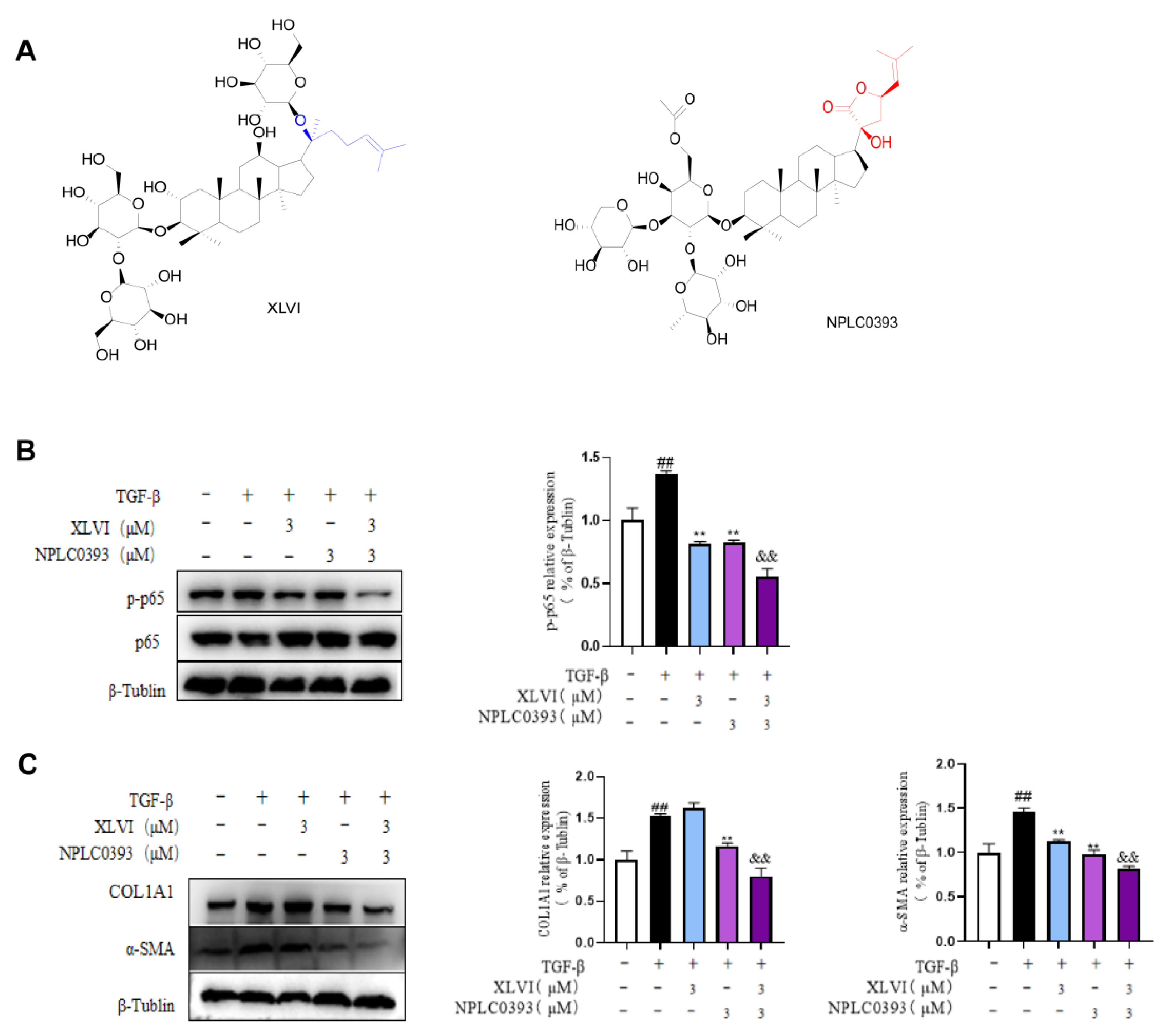 Molecules 28 05448 g005