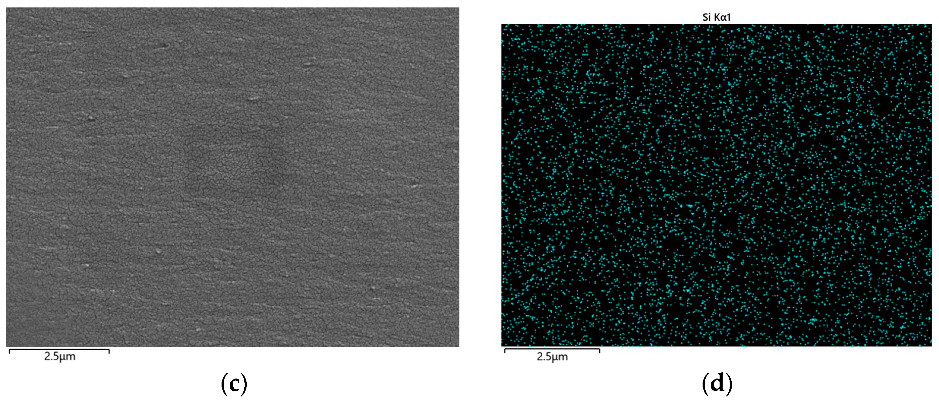 Molecules 28 05450 g008b 550