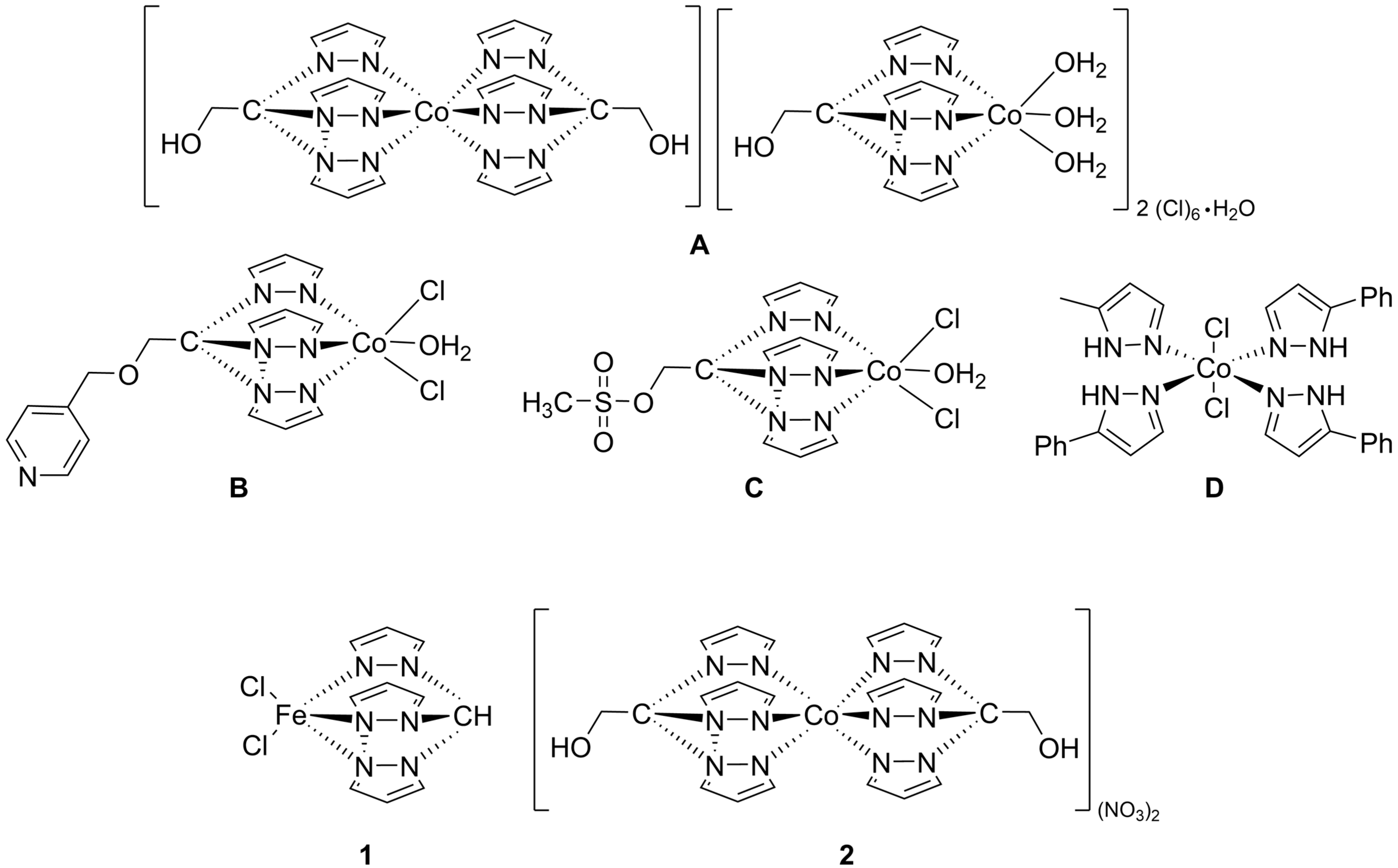 Molecules 28 05451 g001