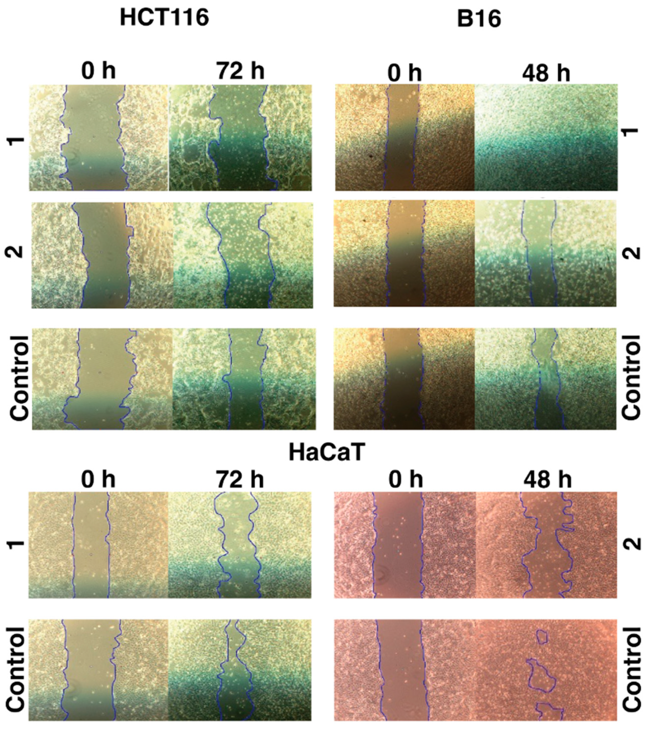 Molecules 28 05451 g003