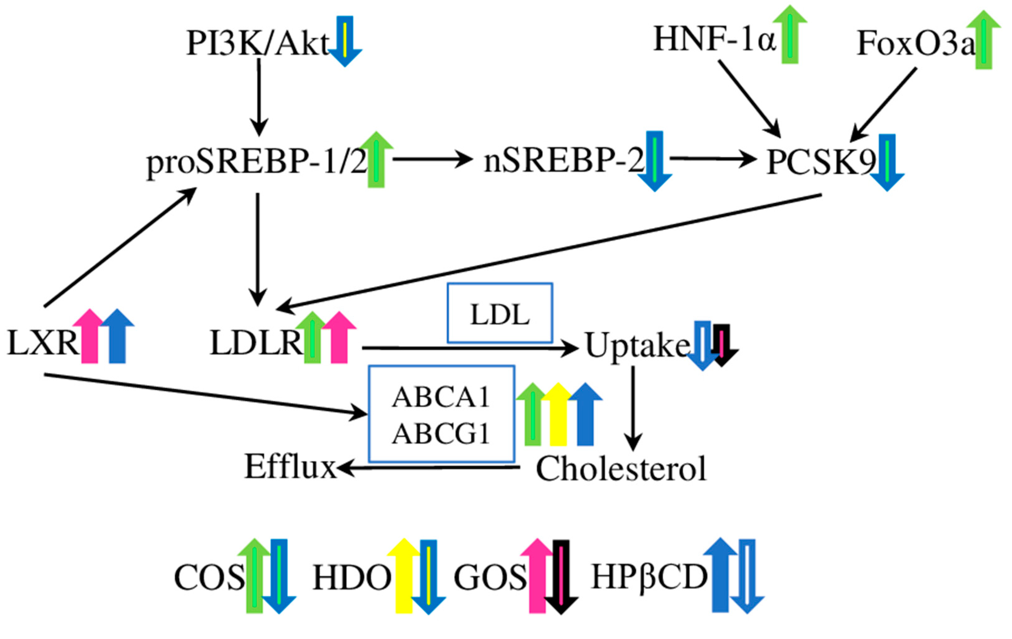 Molecules 28 05452 g001 Molecules 28 05452 g001