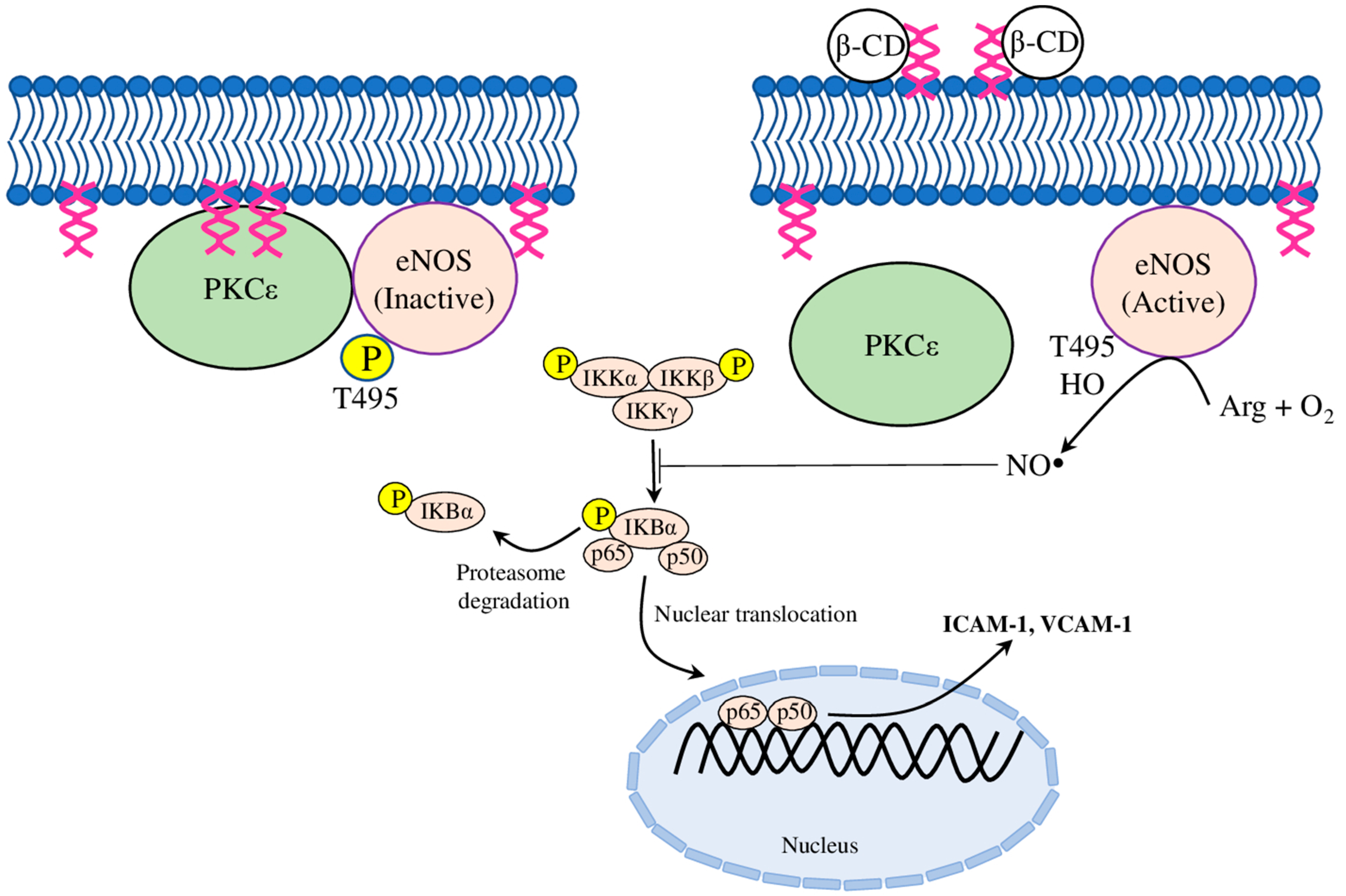 Molecules 28 05452 g002 Molecules 28 05452 g002