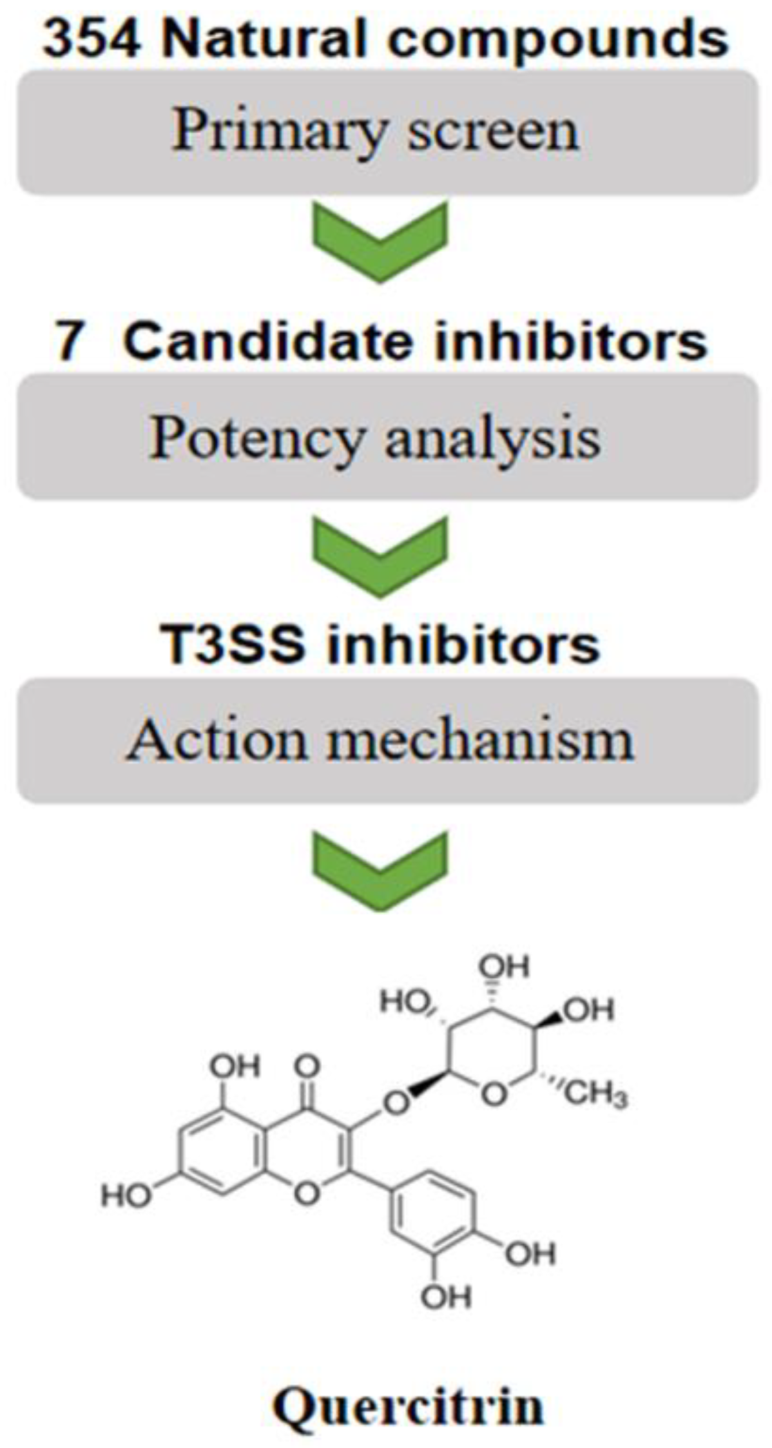 Molecules 28 05455 g001