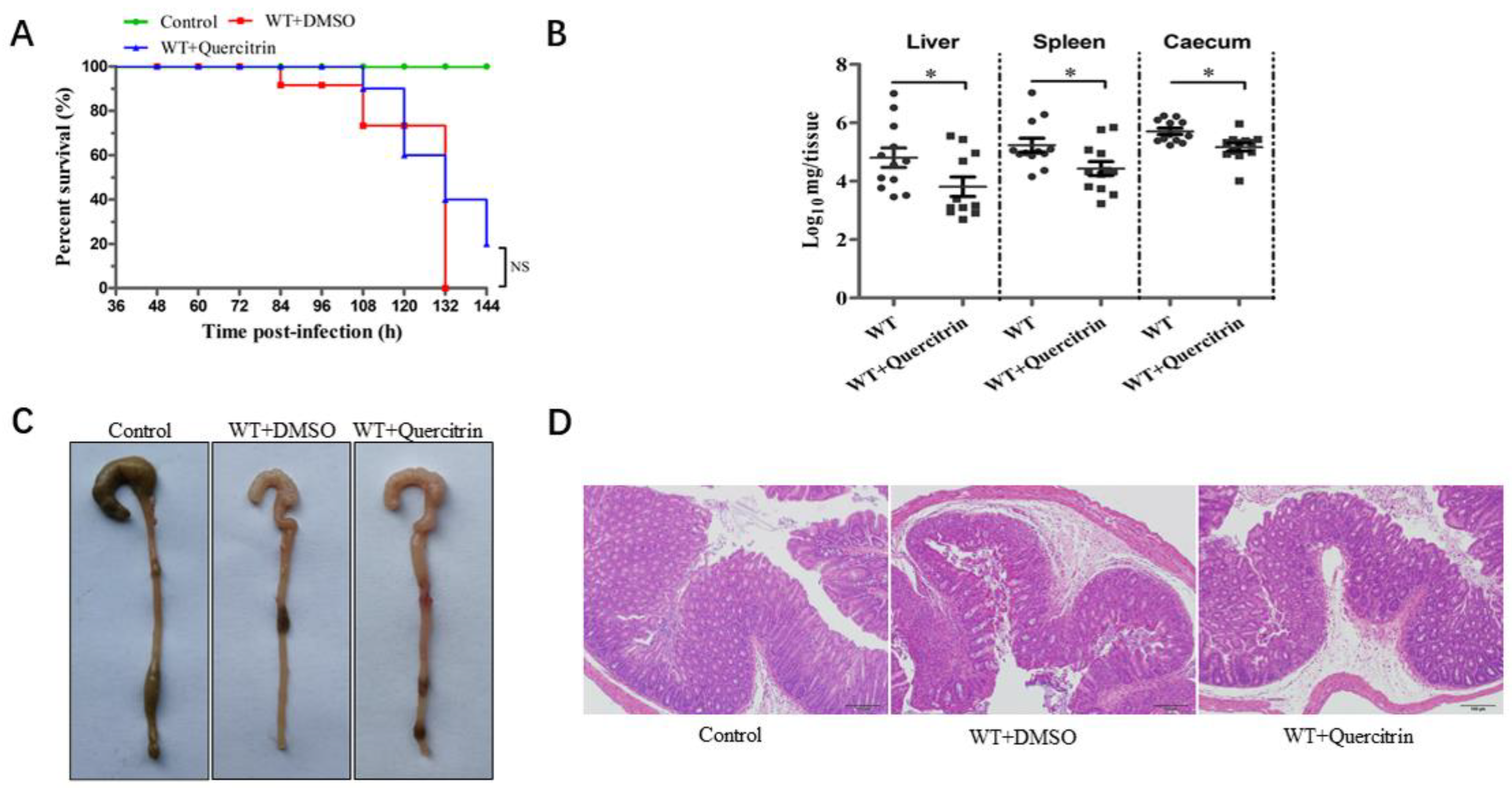 Molecules 28 05455 g006