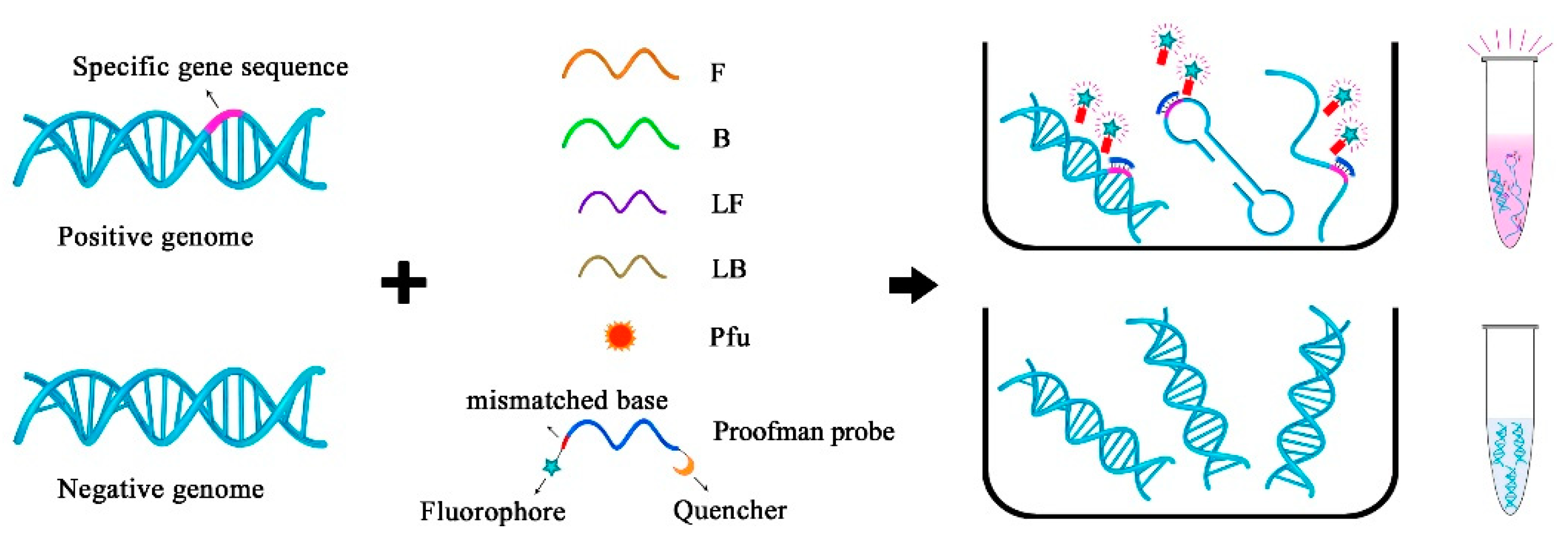 Molecules 28 05457 g002