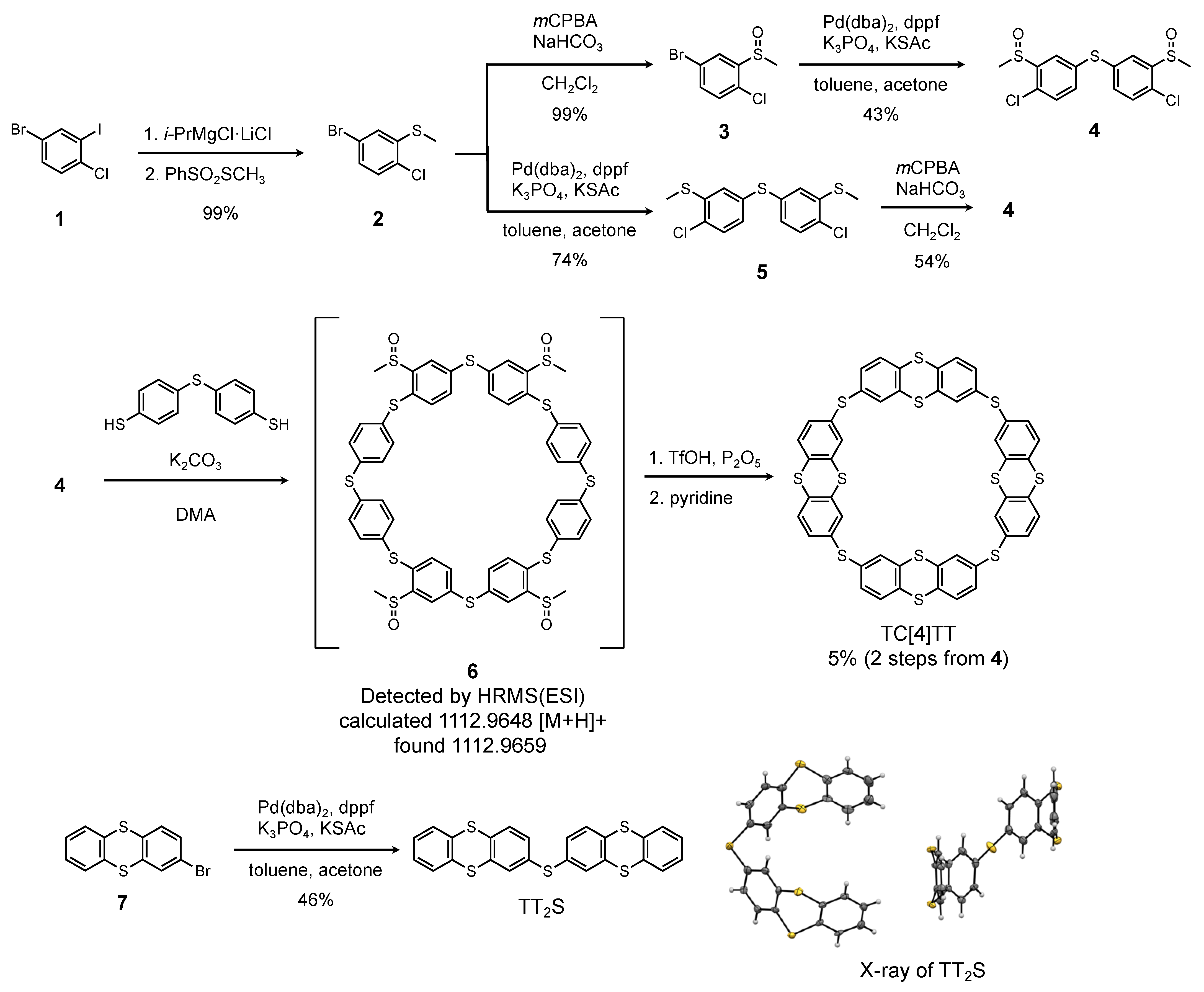 Molecules 28 05462 sch001 Molecules 28 05462 sch001