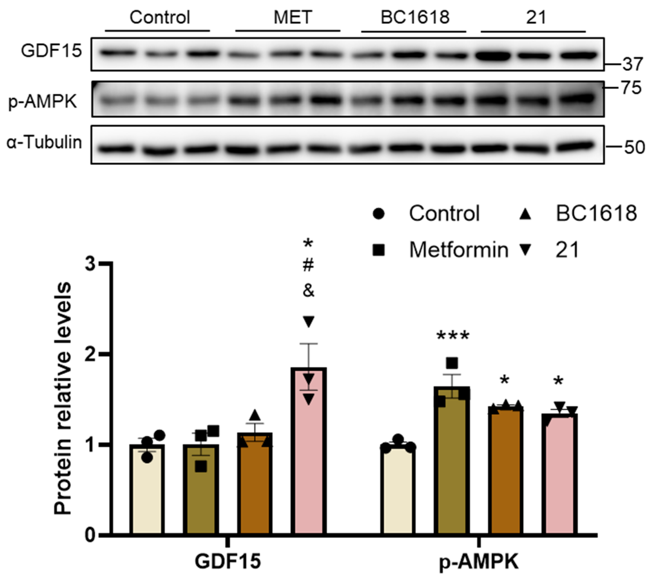 Molecules 28 05468 g001