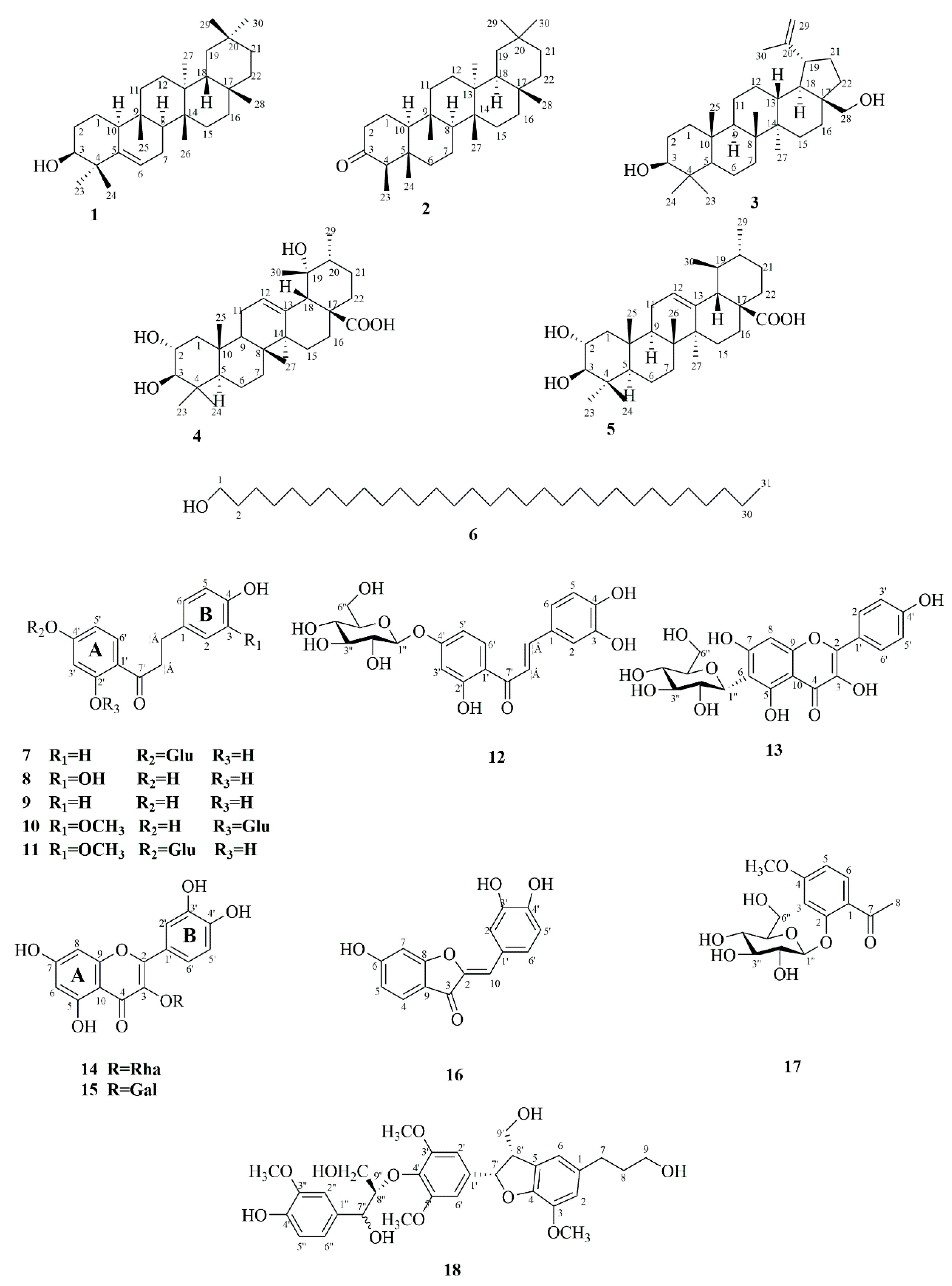 Molecules 28 05480 g001 Molecules 28 05480 g001