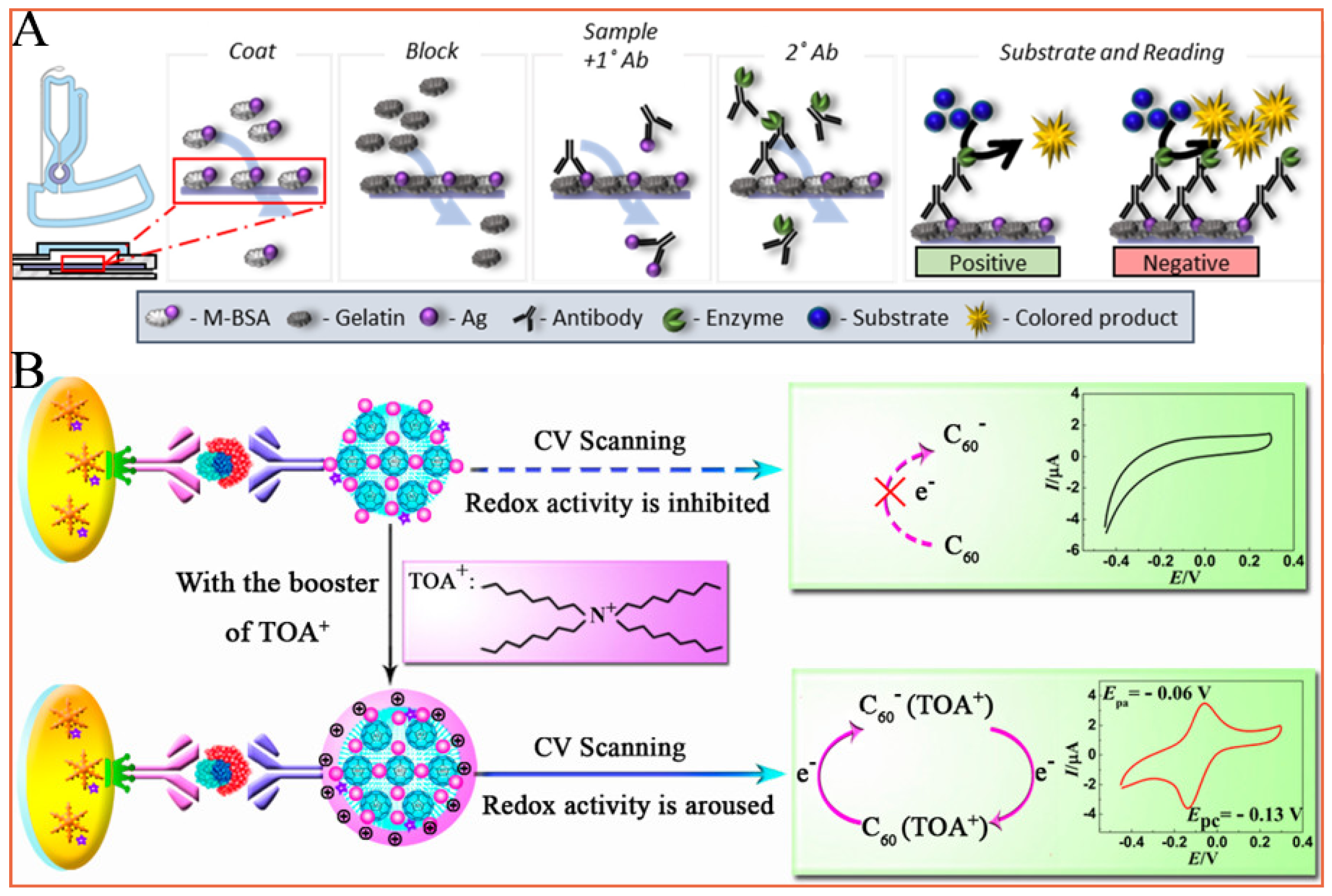 Molecules 28 05483 g005