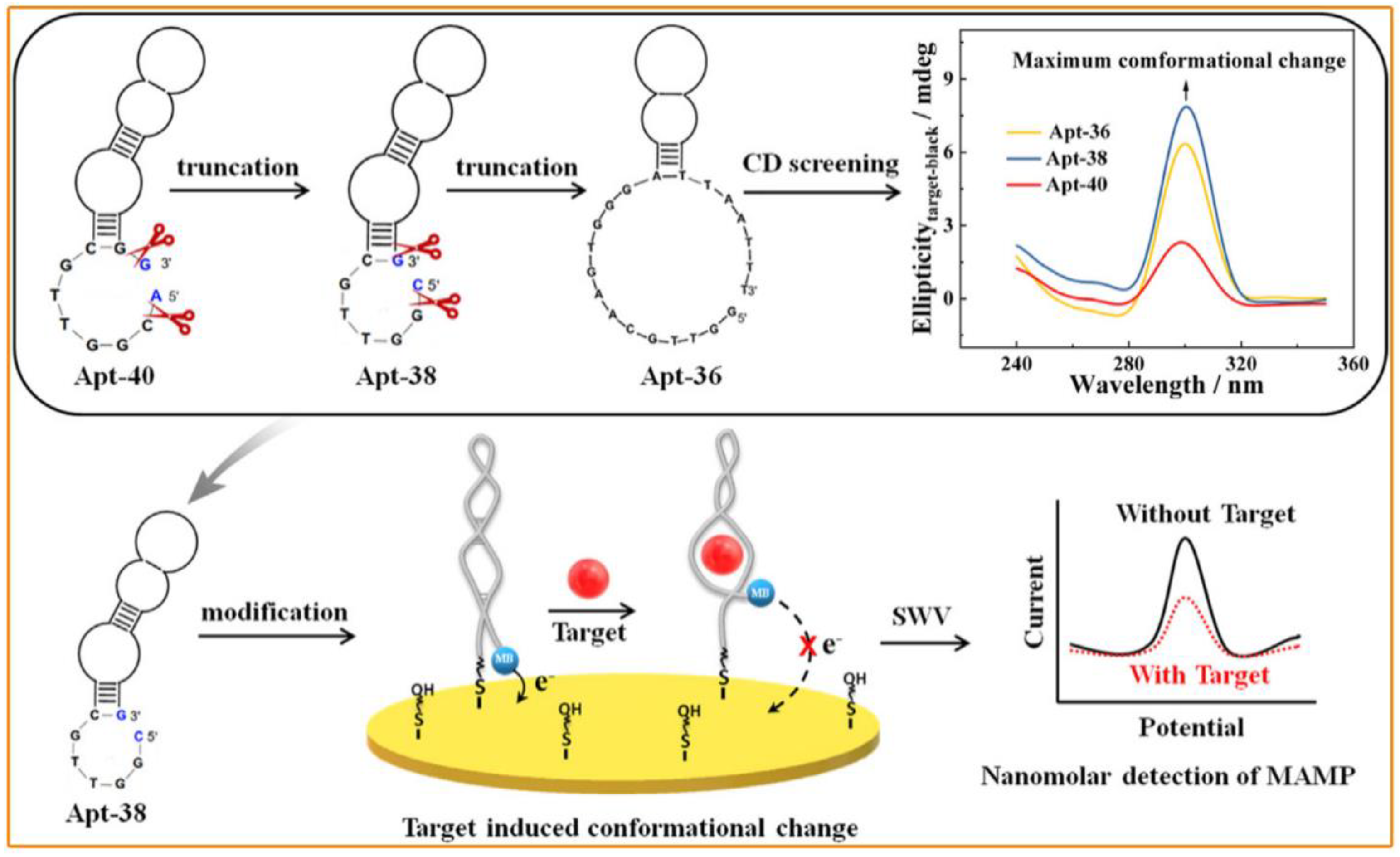 Molecules 28 05483 g006