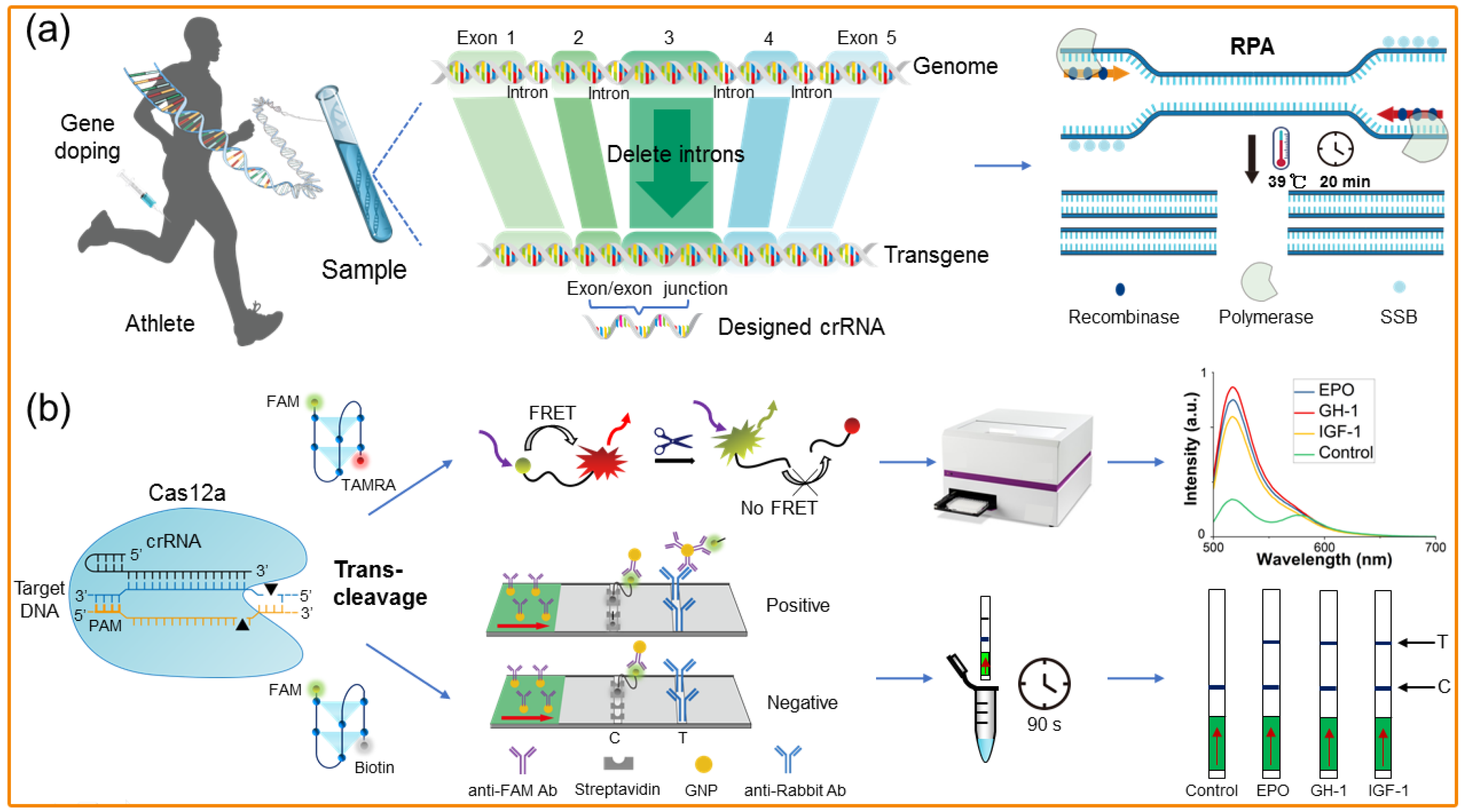 Molecules 28 05483 g008