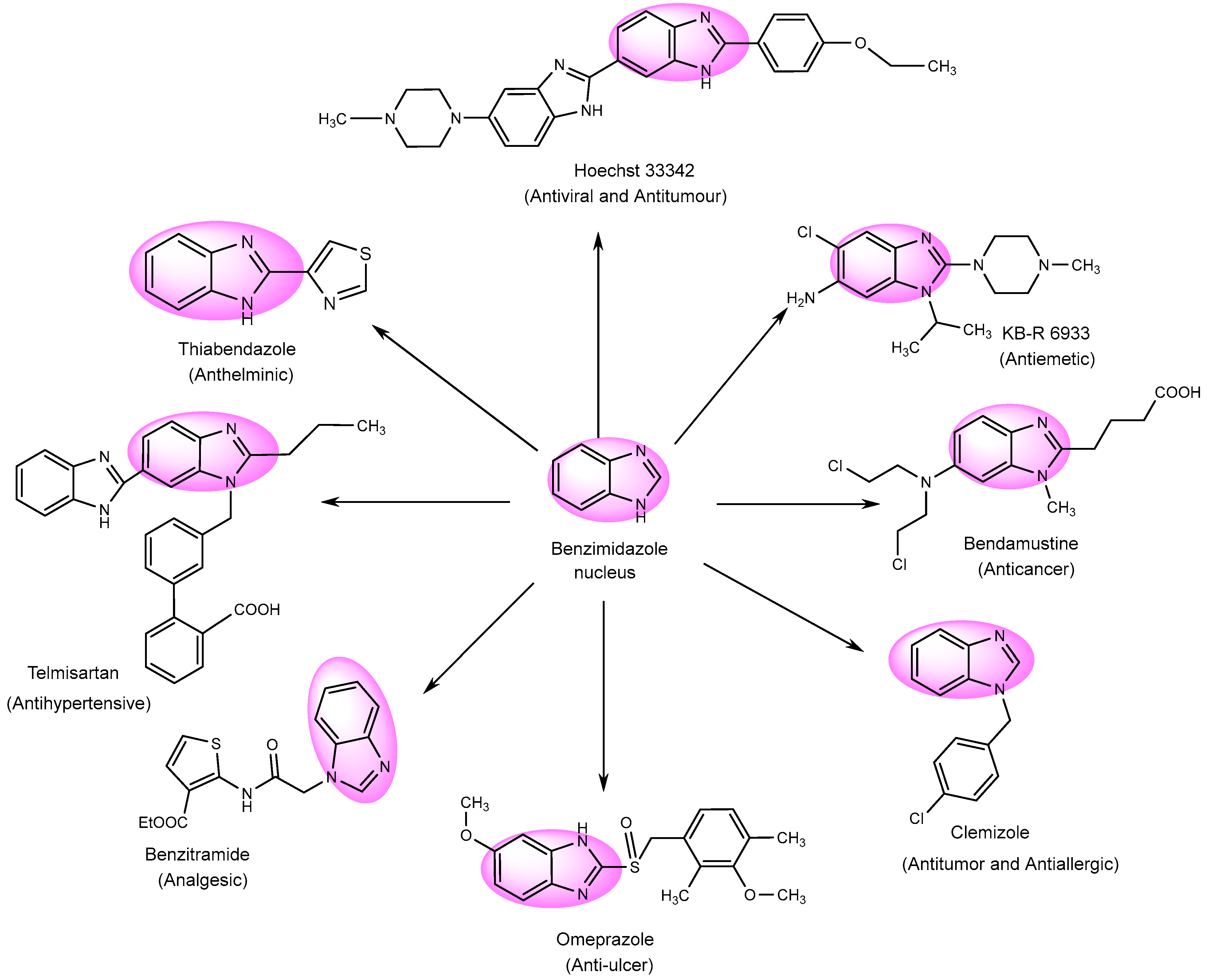 Molecules 28 05490 g004