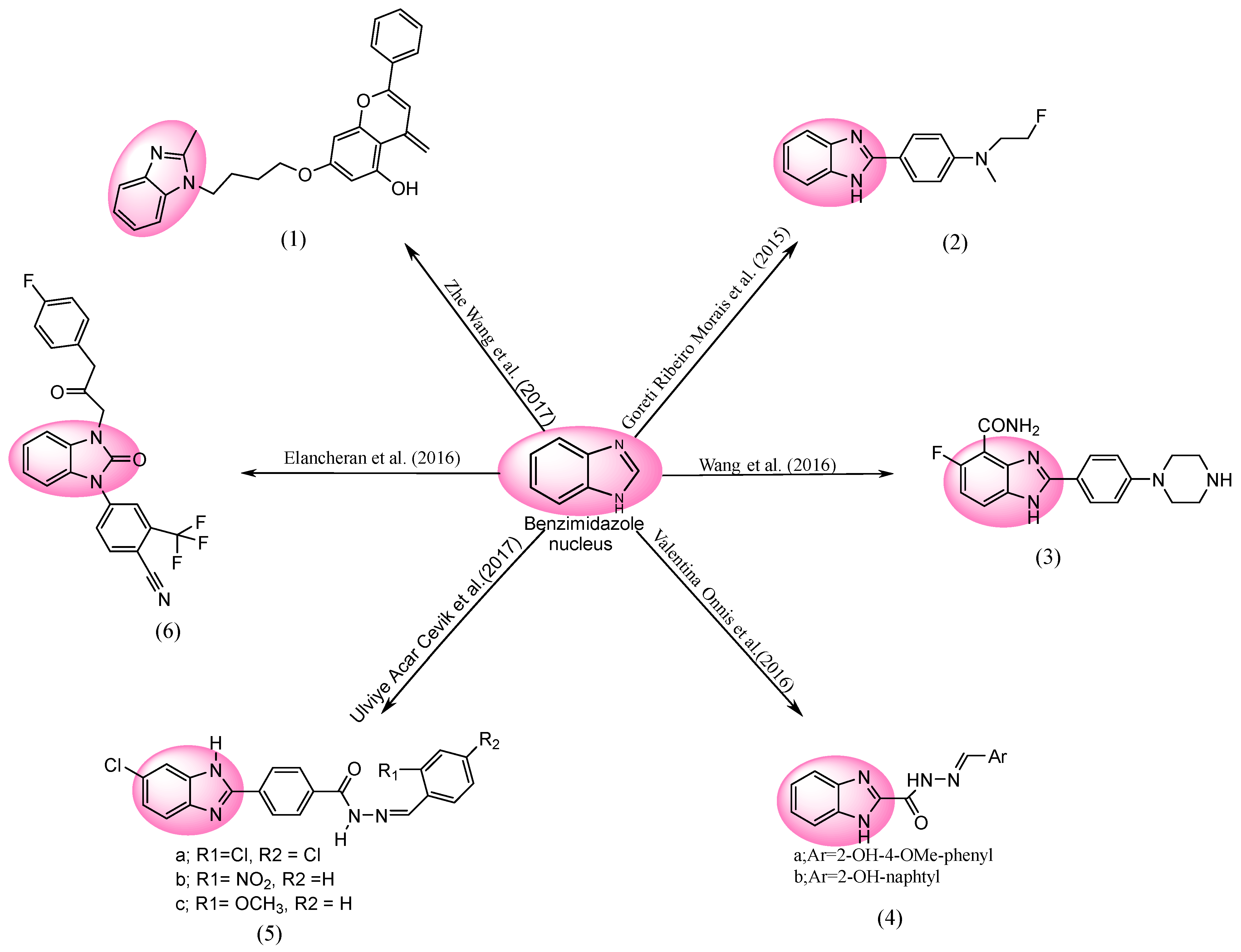 Molecules 28 05490 g005