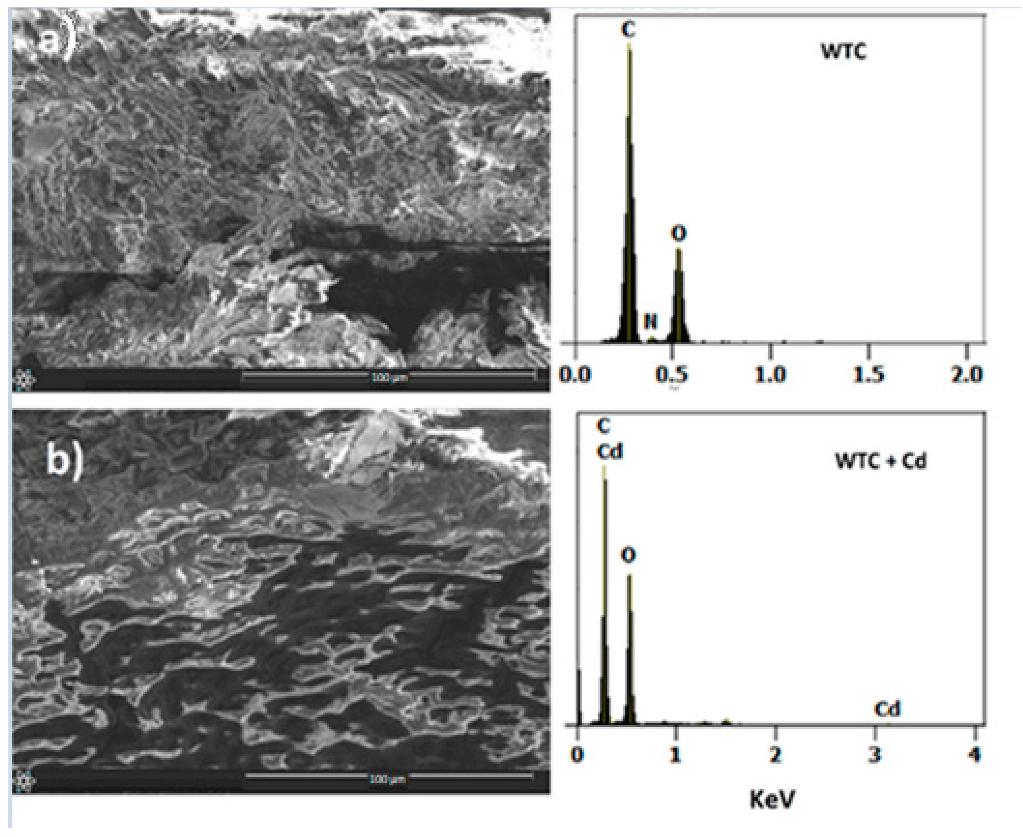Molecules 28 05491 g001 Molecules 28 05491 g001