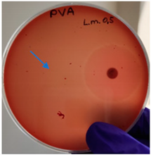 Molecules 28 05497 i001 Molecules 28 05497 i001