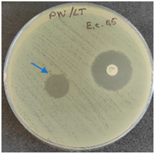 Molecules 28 05497 i006 Molecules 28 05497 i006