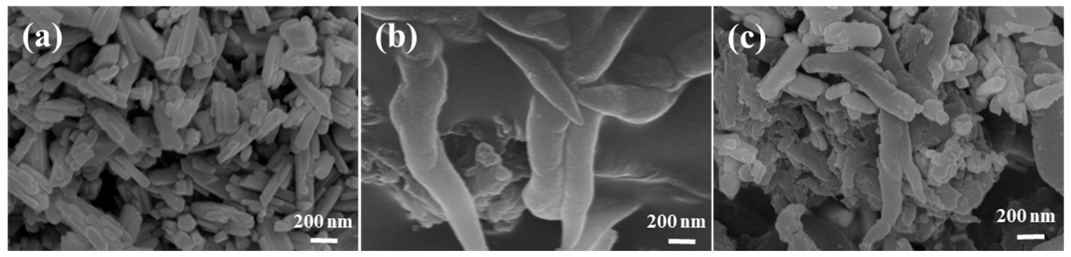 Molecules 28 05505 g002 Molecules 28 05505 g002