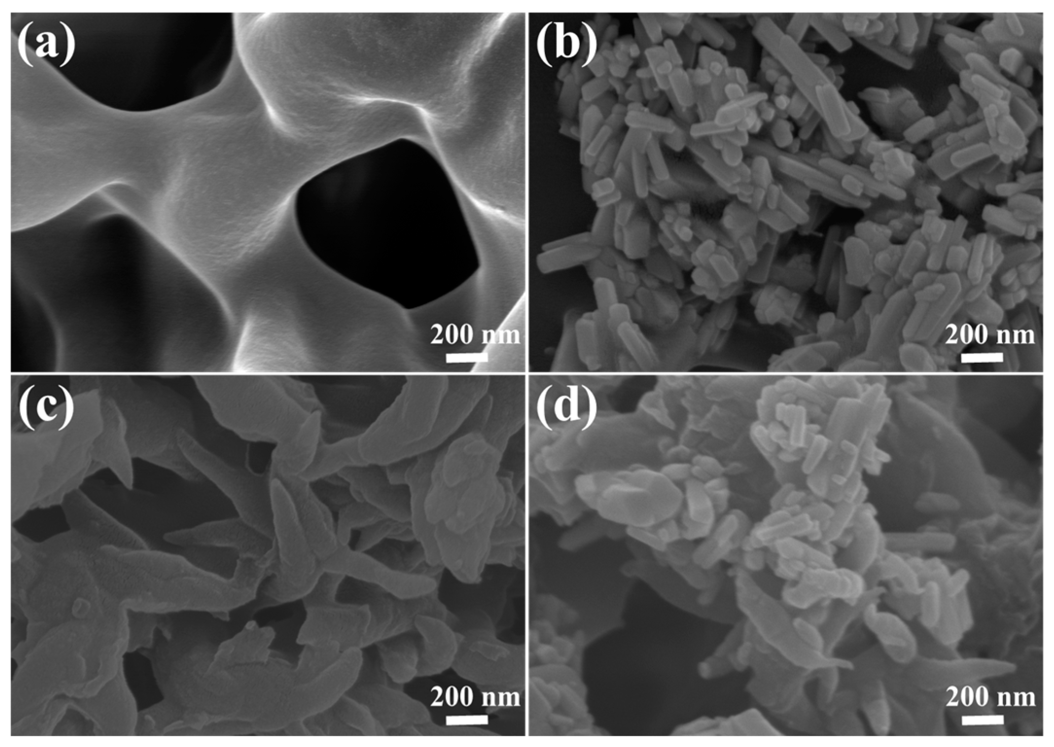 Molecules 28 05505 g007 Molecules 28 05505 g007