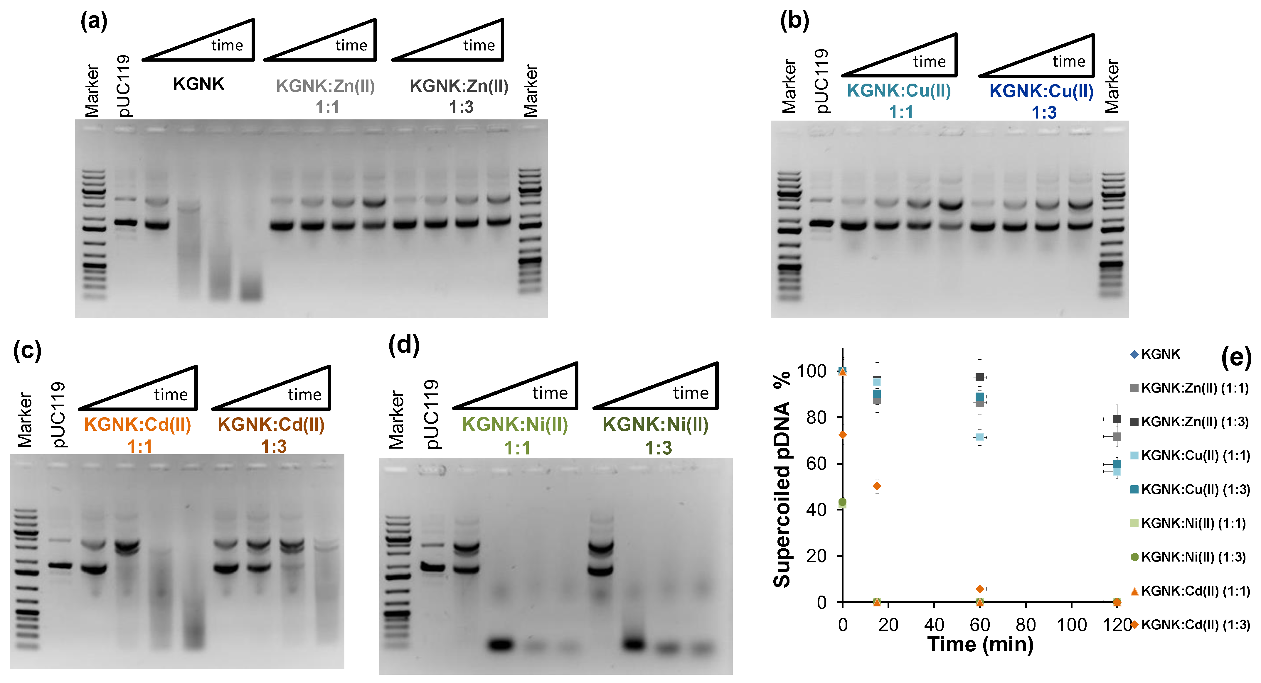 Molecules 28 05511 g008 Molecules 28 05511 g008