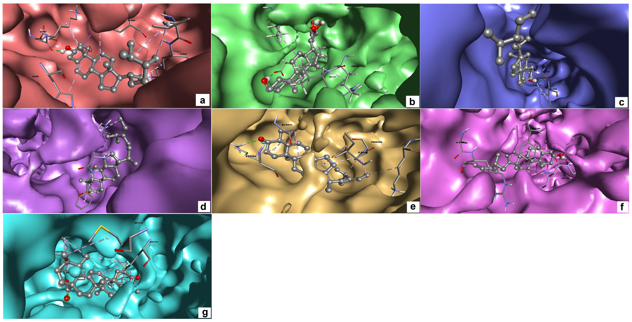 Molecules 28 05514 g001