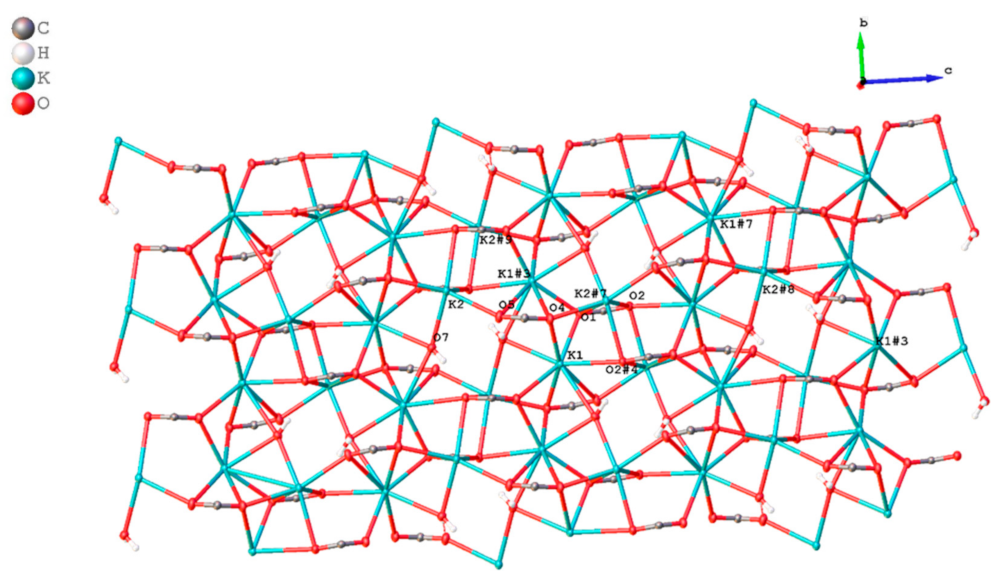 Molecules 28 05515 g012