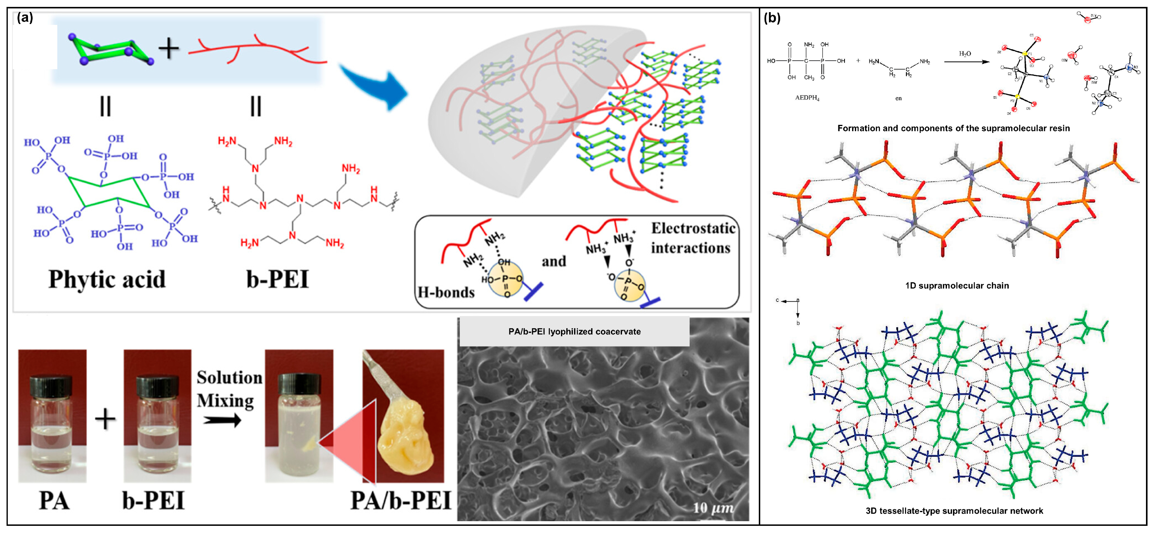 Molecules 28 05518 g008 Molecules 28 05518 g008